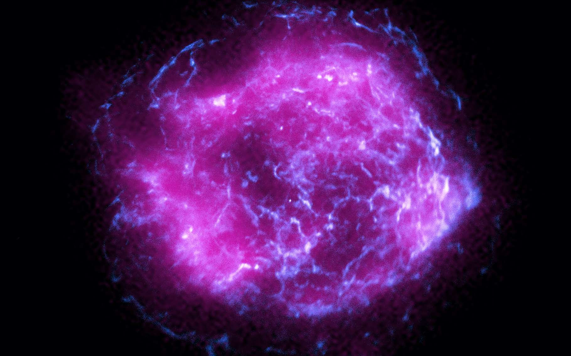 Les premières images du télescope IXPE ont été publiées. C’est Cassiopée A que l’on découvre, ici. En rose, les images de IXPE superposées à celles renvoyées par le passé par Chandra, en bleu. © Nasa, CXC, SAO, IXPE