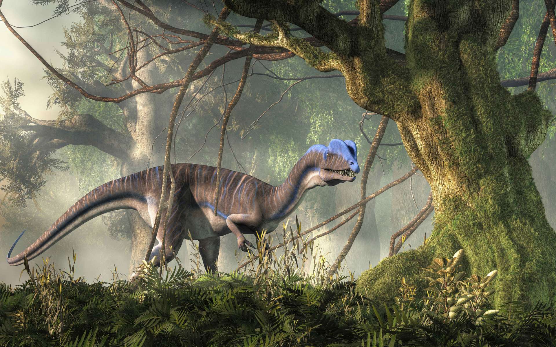 Dilophosaurus: Double-crested King Of Jurassic Jungle