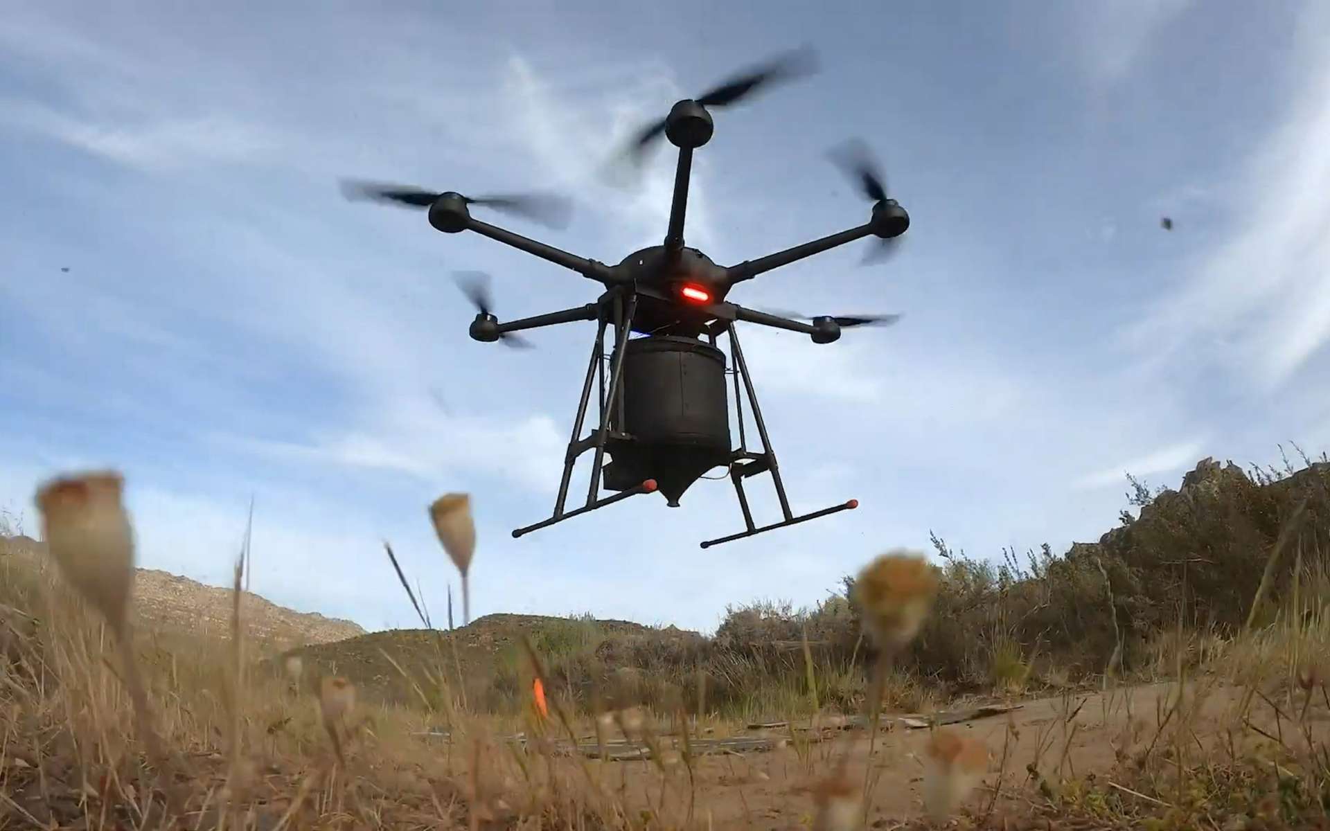 Ce drone peut planter 40.000 arbres par jour. © AirSeed Technologies