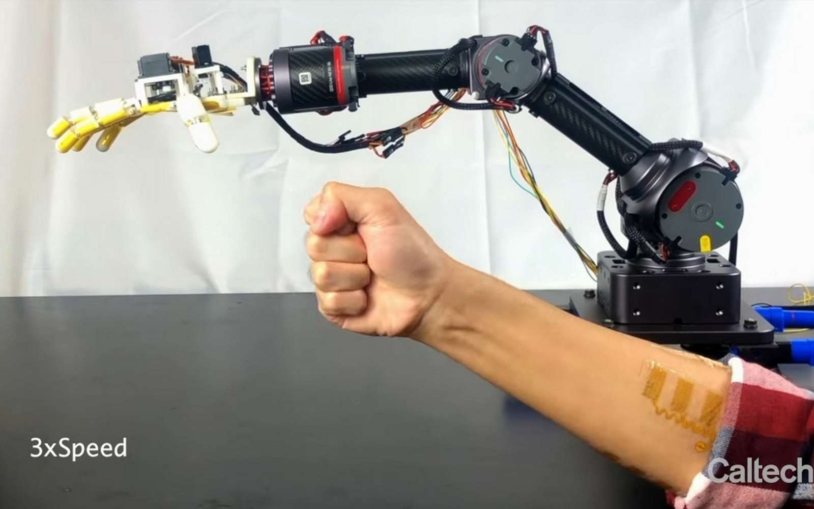 Ce bras robotique peut sentir les objets qu’il touche et transmettre l’information tactile à l’opérateur. © Caltech