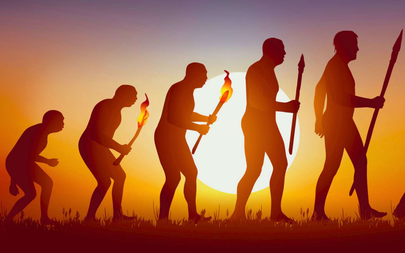 Quand sommes-nous devenus pleinement humains ? Ce que fossiles et ADN révèlent