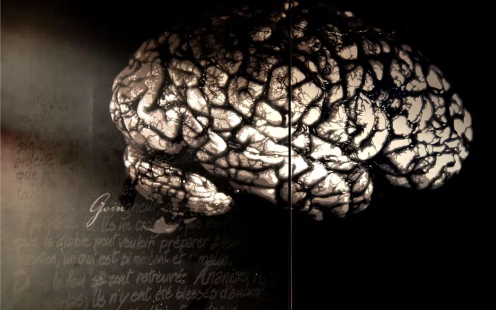 Il n'existe aucune preuve scientifique pour affirmer que la stimulation du cerveau agit sur la performance physique. © Thierry Ehrmann, Flickr