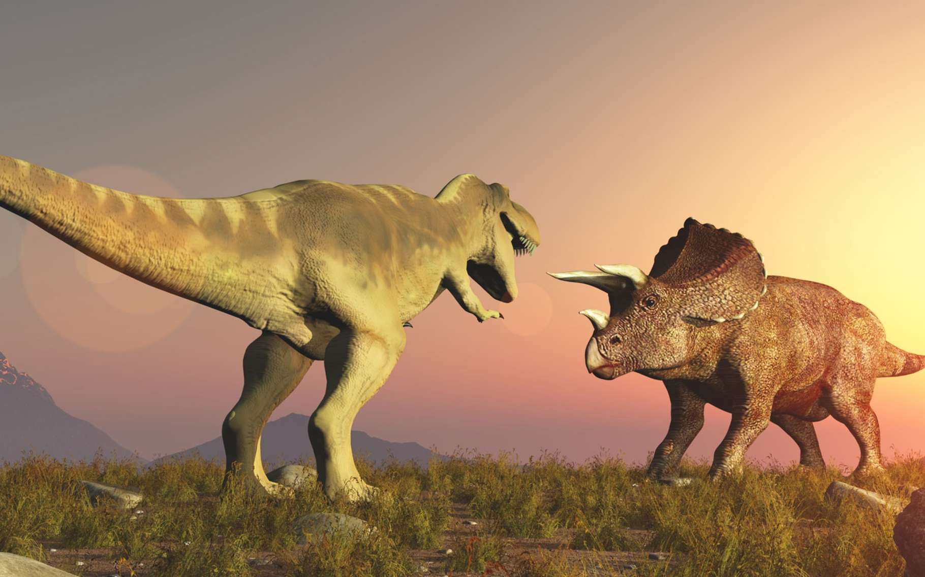 Dinosaures herbivores et carnivores quel rapport évolutif ? Dossier