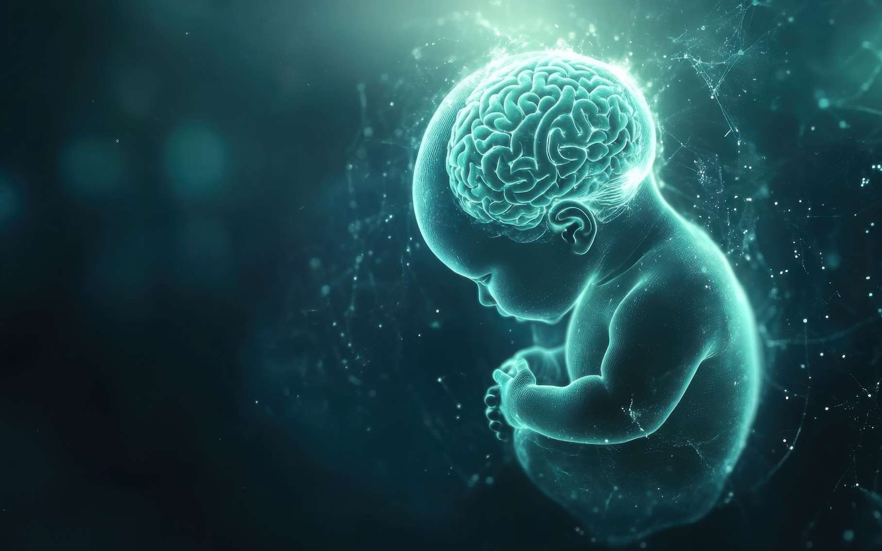 Le stress climatique pourrait-il façonner le cerveau avant même la naissance ? Une nouvelle étude pose la question
