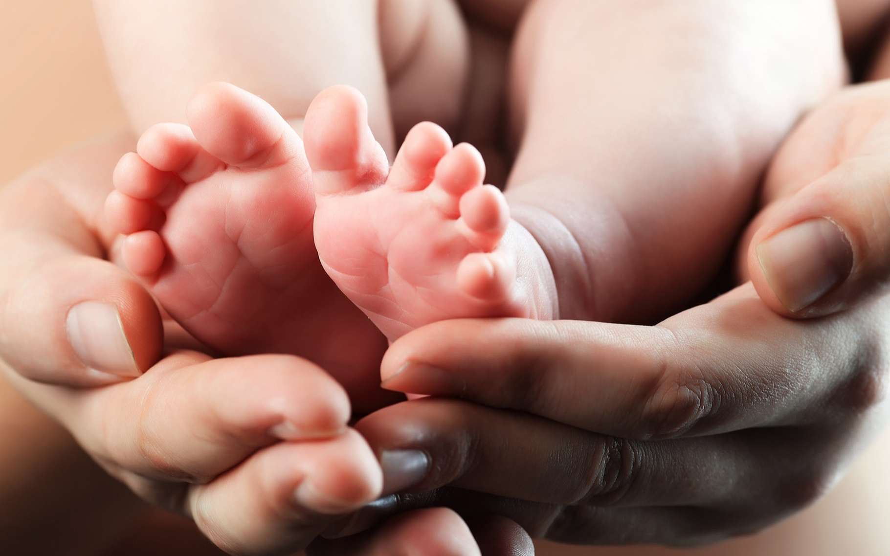 Le Royaume Uni Autorise Les Bebes A Trois Parents