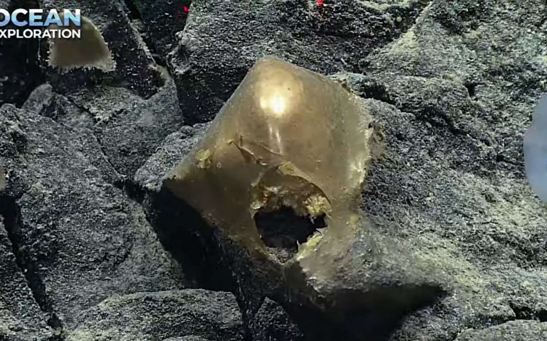 Un étrange objet doré découvert à 3 000 mètres de profondeur dans l'océan