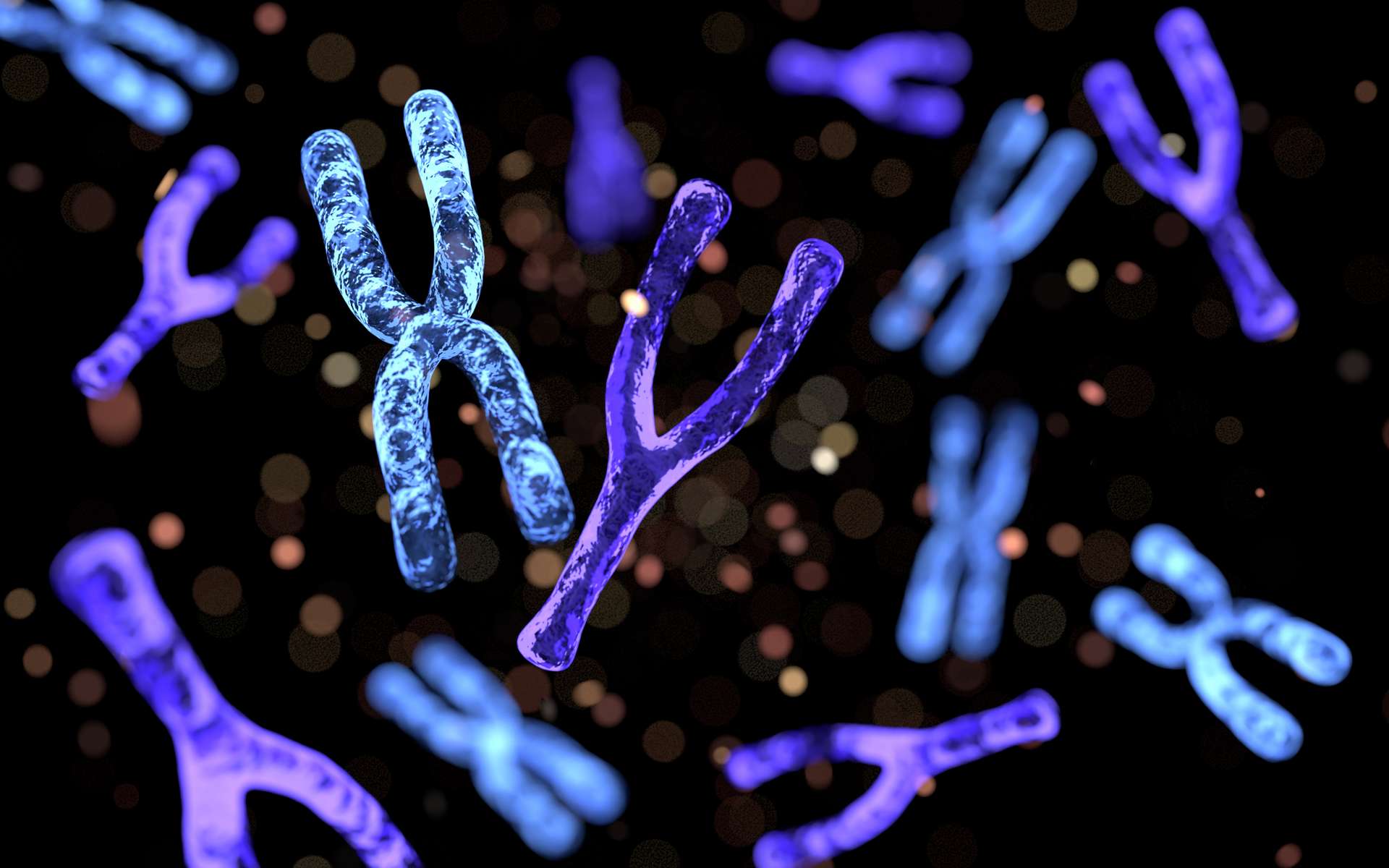 La longévité des femmes pourrait être due à leurs chromosomes