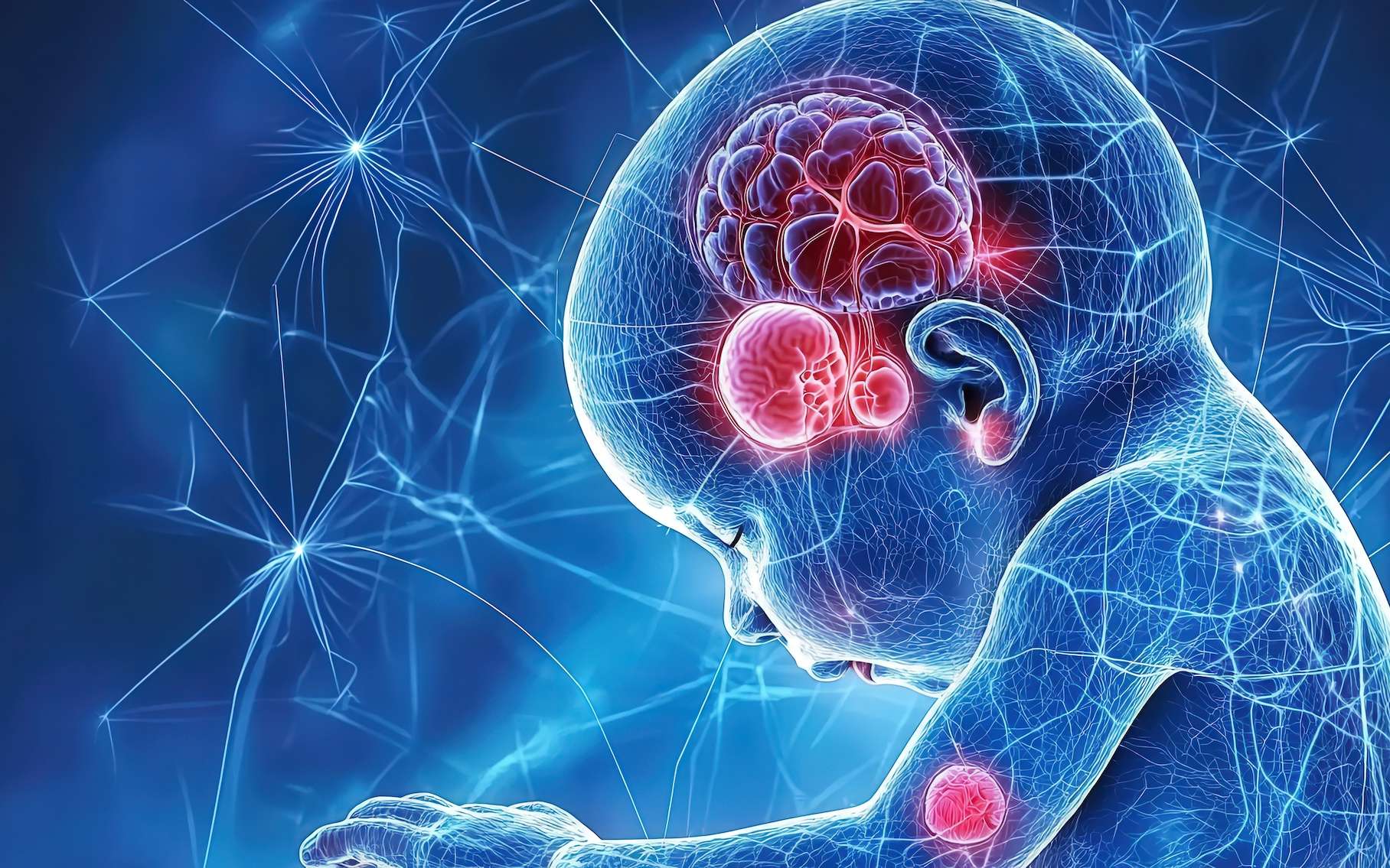 Choline : ce nutriment cérébral essentiel que vous ne consommez (peut-être) pas assez