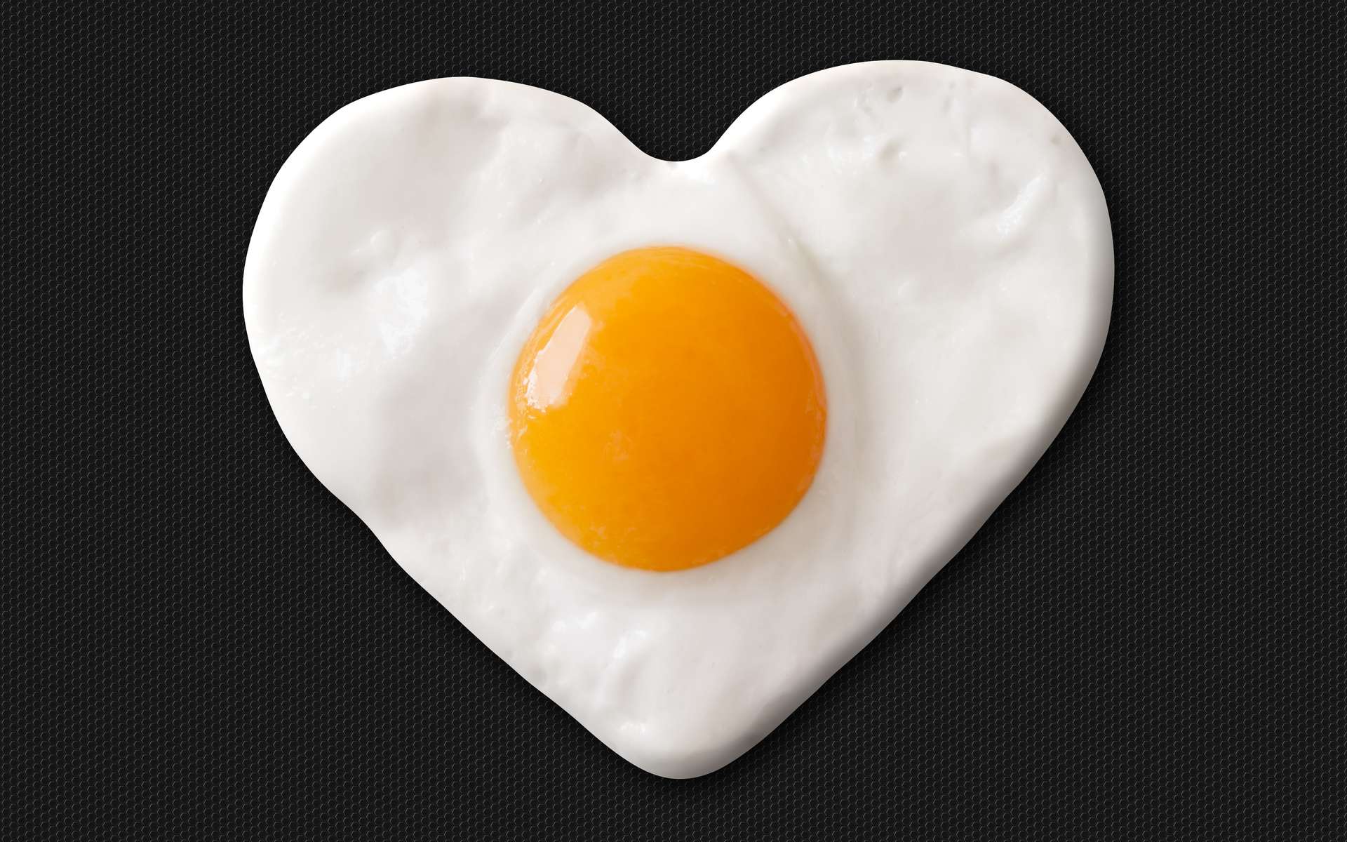 Aucune corrélation sérieuse n'existe entre consommation d'œufs, cholestérol sanguin et maladies cardiovasculaires. © marcelmondocko, Adobe Stock