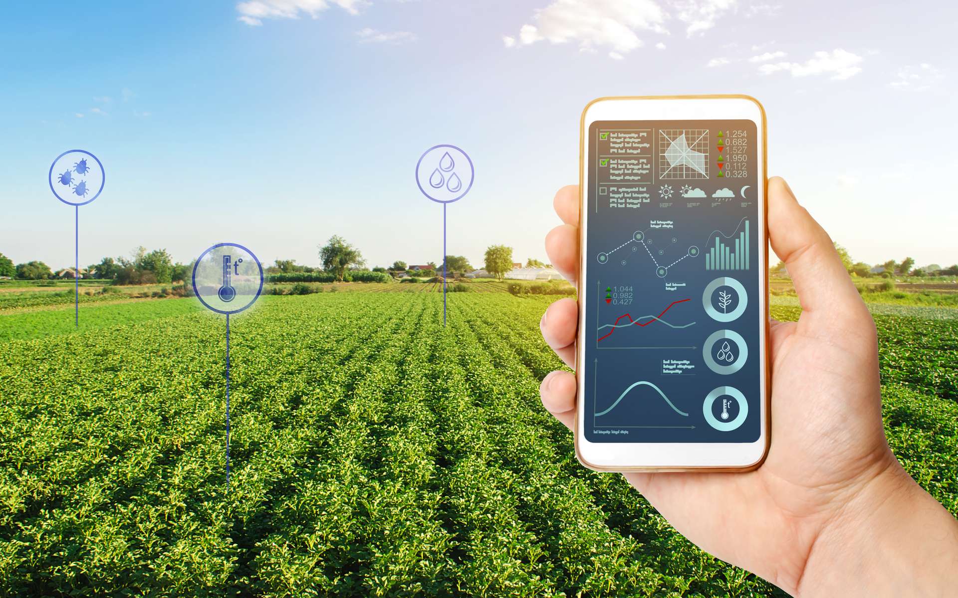 L'agriculture à l'heure du digital et du Big Data. © Андрей Яланский, Adobe Stock