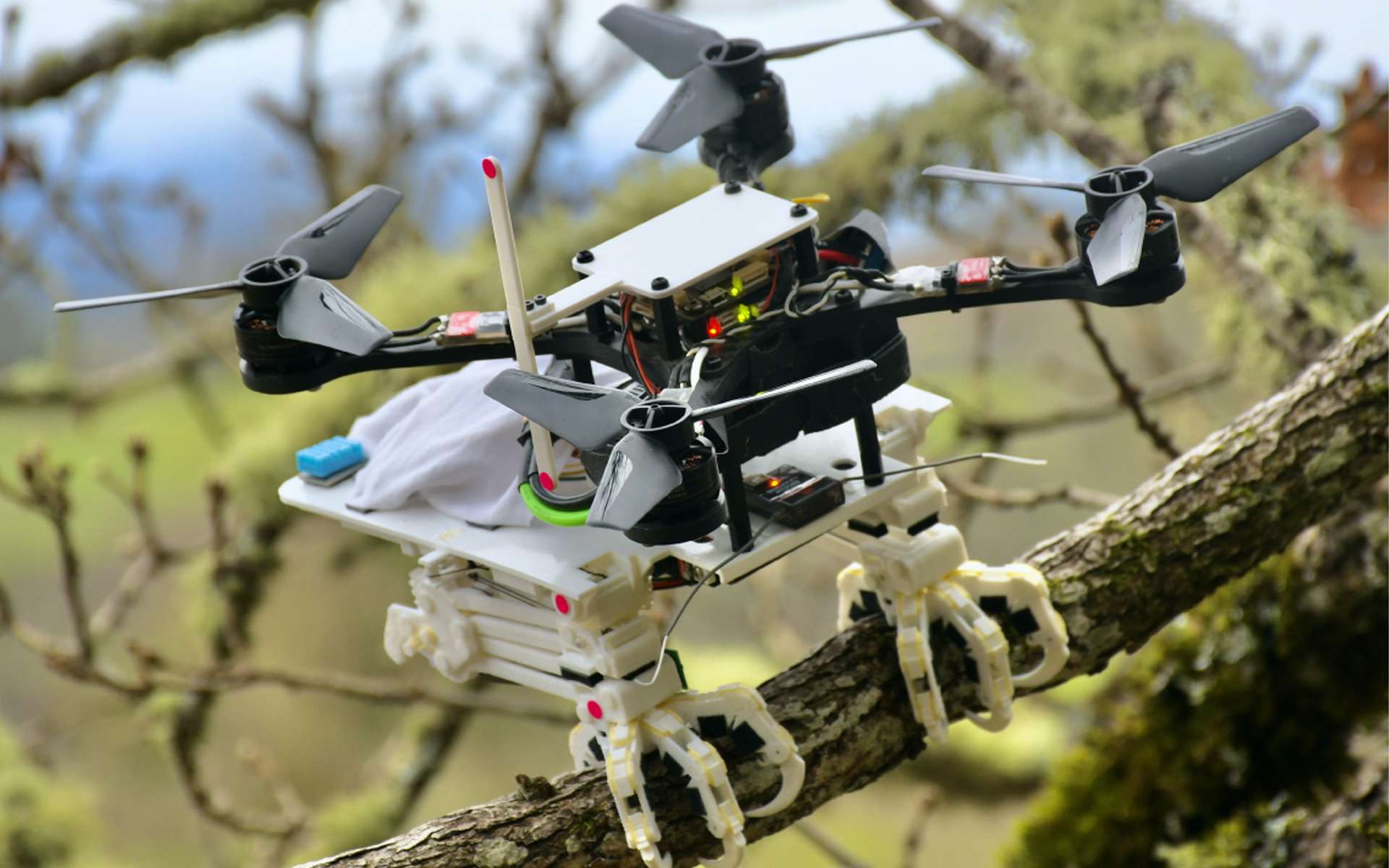 Les pattes imprimées en 3D ajoutées à ce drone lui permettent de se poser sur les branches d’arbres. © Université de Stanford