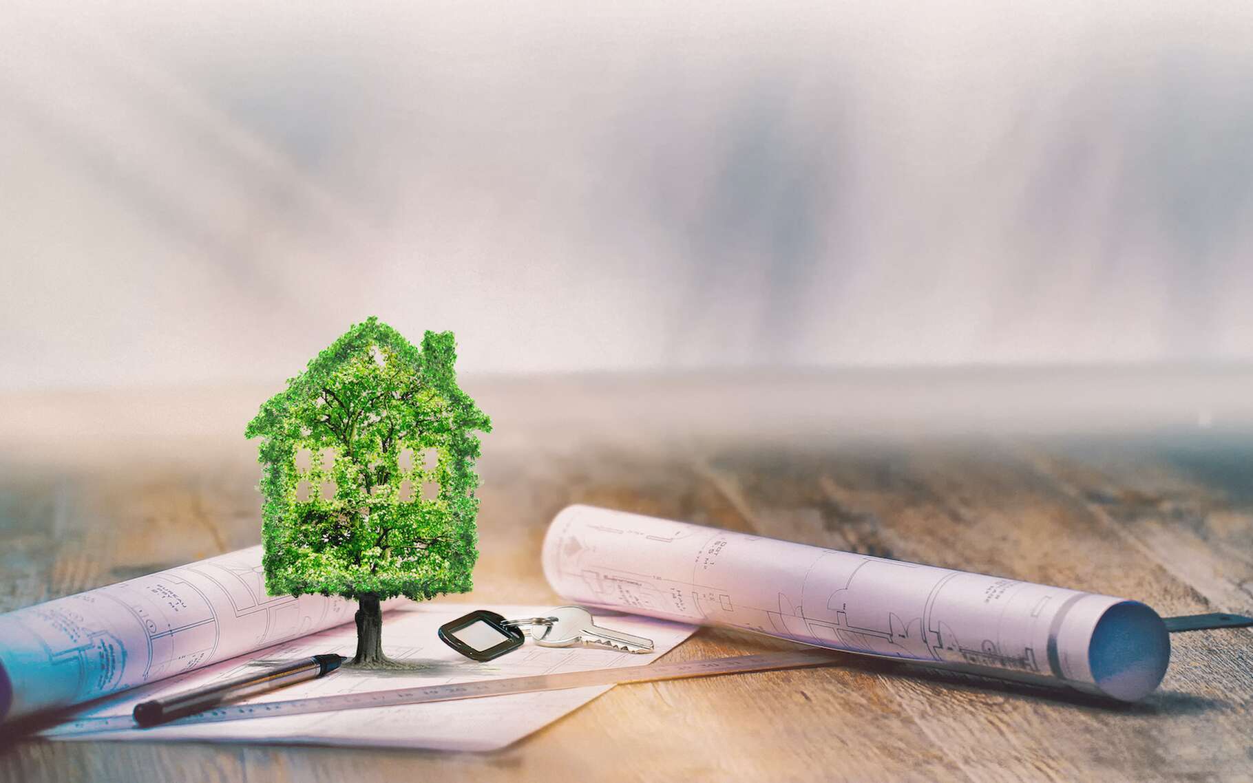 Un logement vert et engagé, c'est possible !