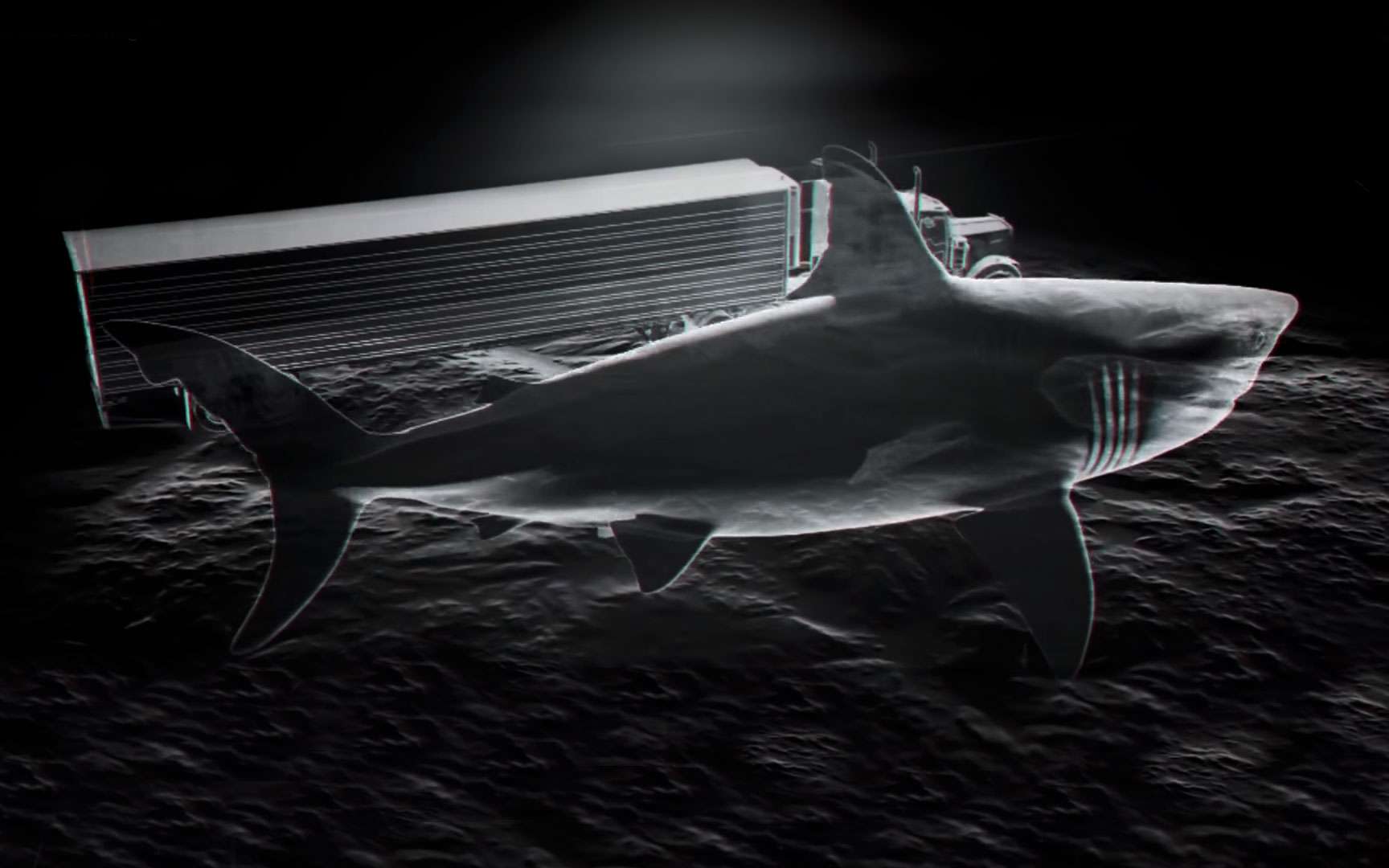 Quelle Est La Taille Dun Megalodon Quelle Est La Taille D'un Mégalodon - Communauté MCMS