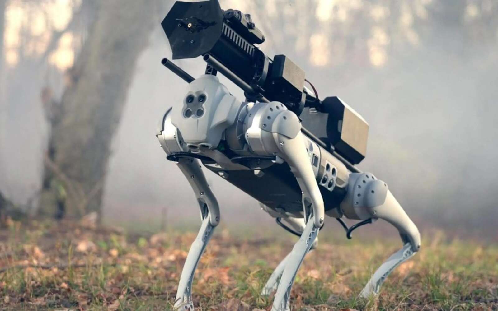 Voici le Thermonator, un terrifiant robot-chien lanceur de flammes