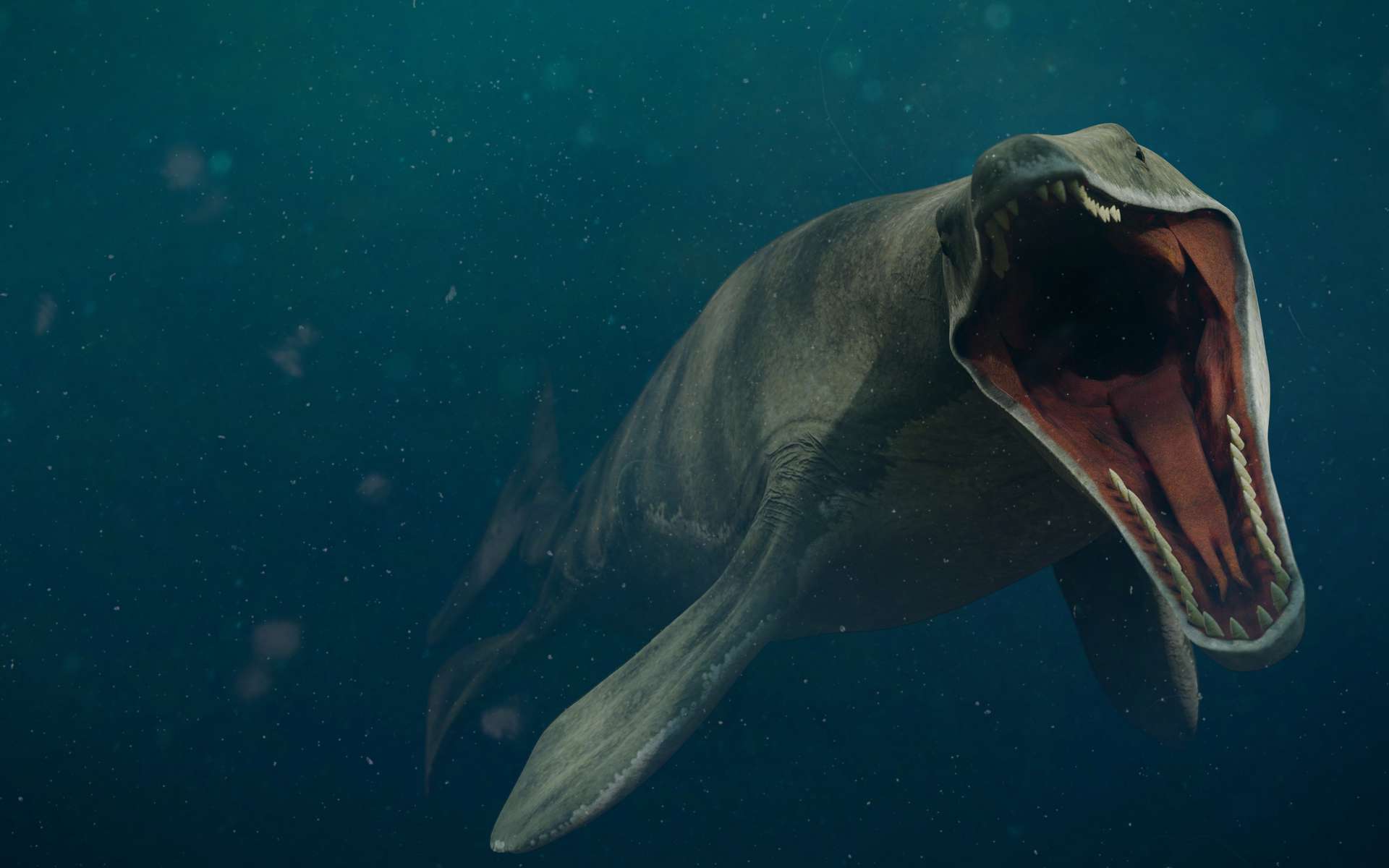 Ce lézard géant semait la terreur dans l'océan il y a 66 millions d'années !