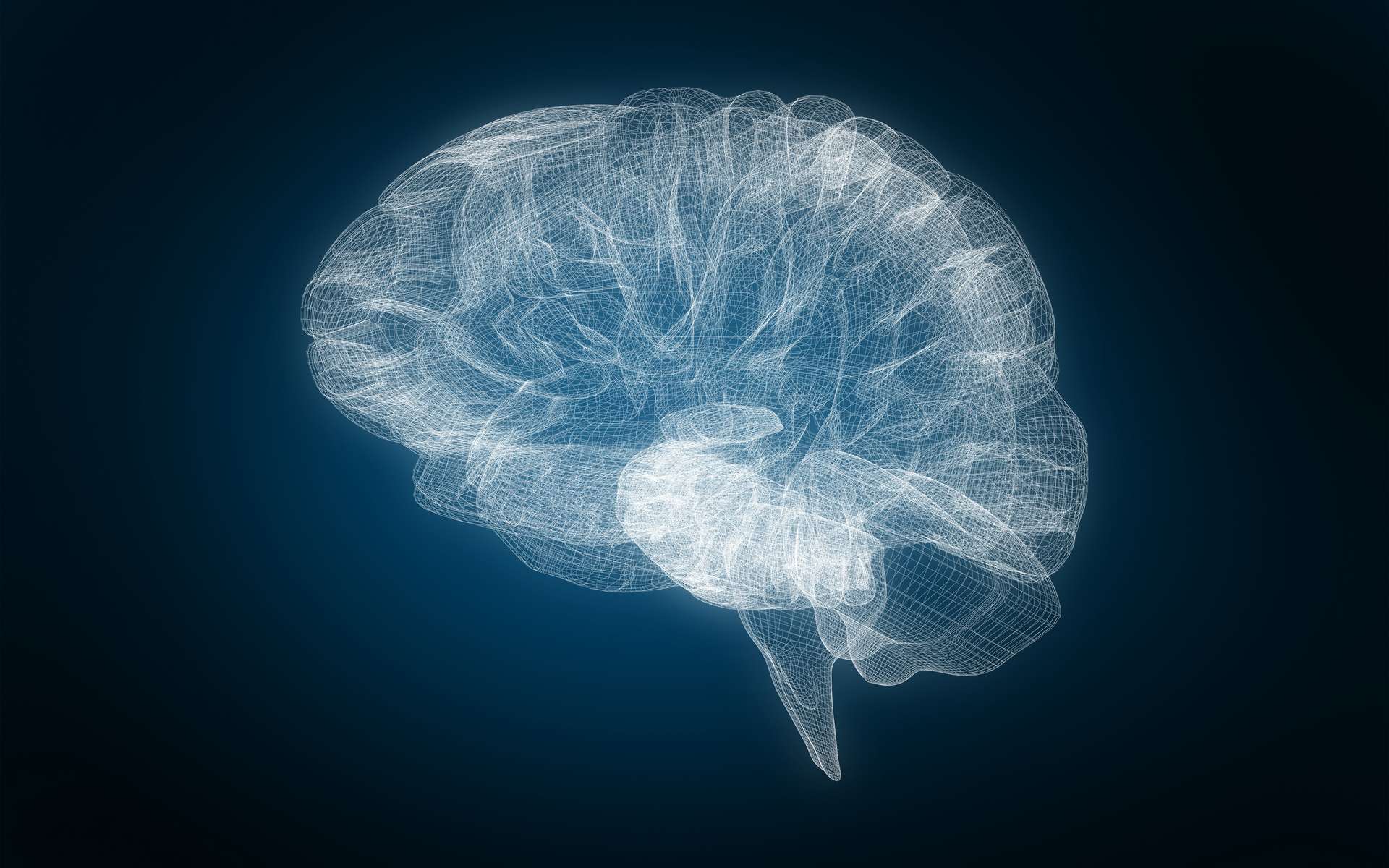 Comme pour la taille et le poids, des chercheurs ont crée une courbe de croissance qui suit l'évolution du cerveau en fonction de l'âge. © vectorfusionart, Adobe Stock