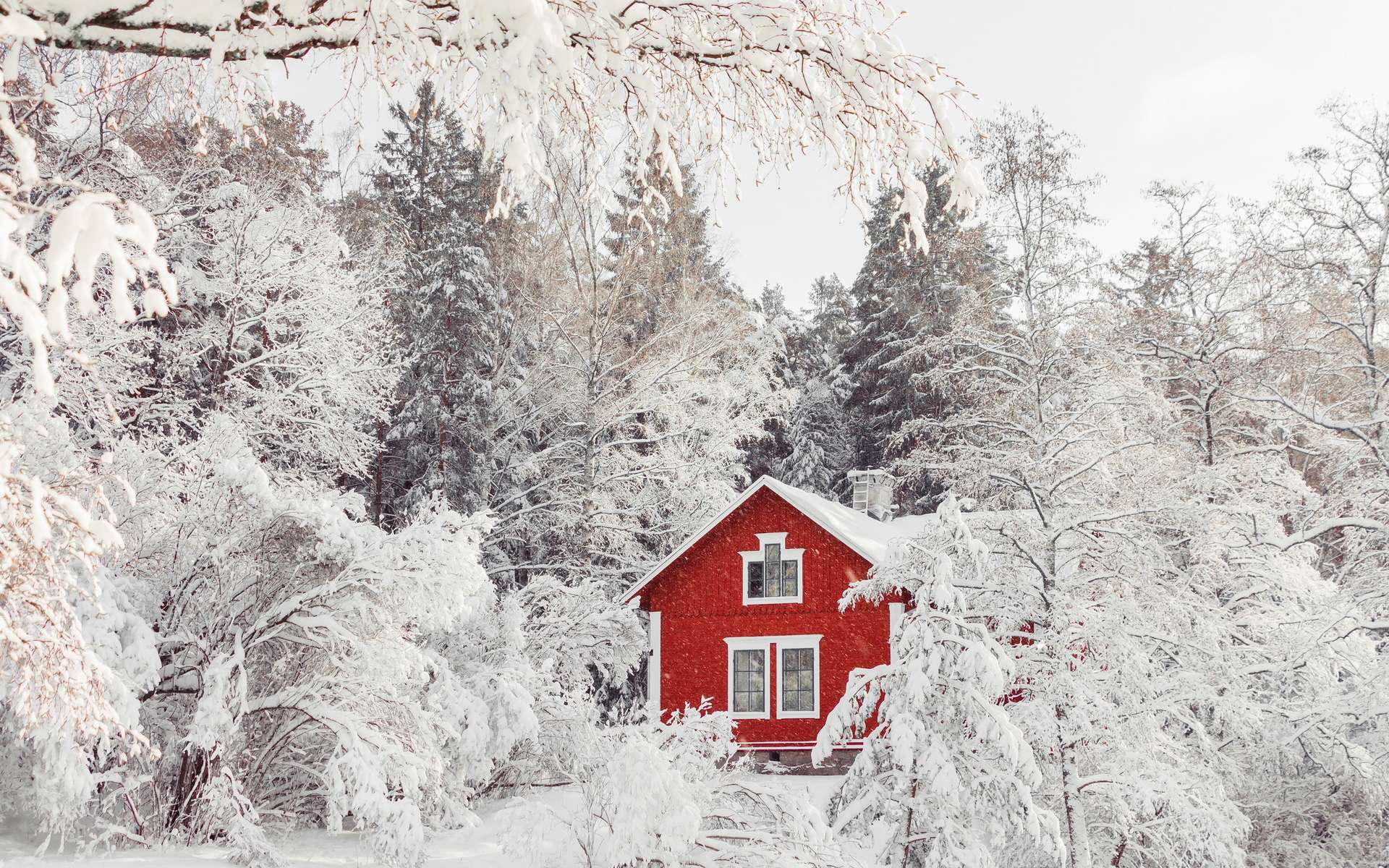 La Suède endure ses températures les plus basses depuis 25 ans : -43 °C !