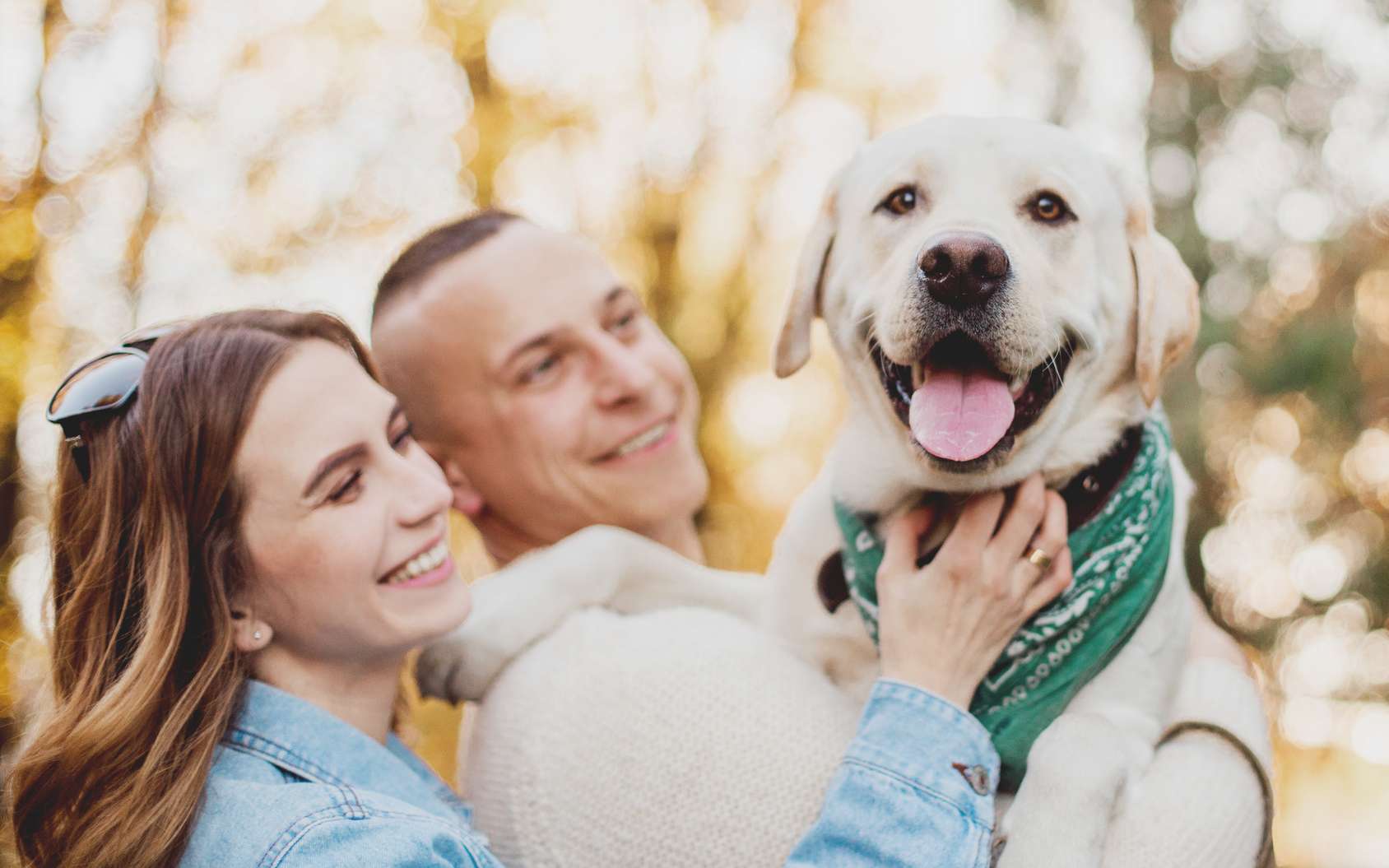 Science Decalee Les Chiens Rendent Plus Heureux Que Les Chats