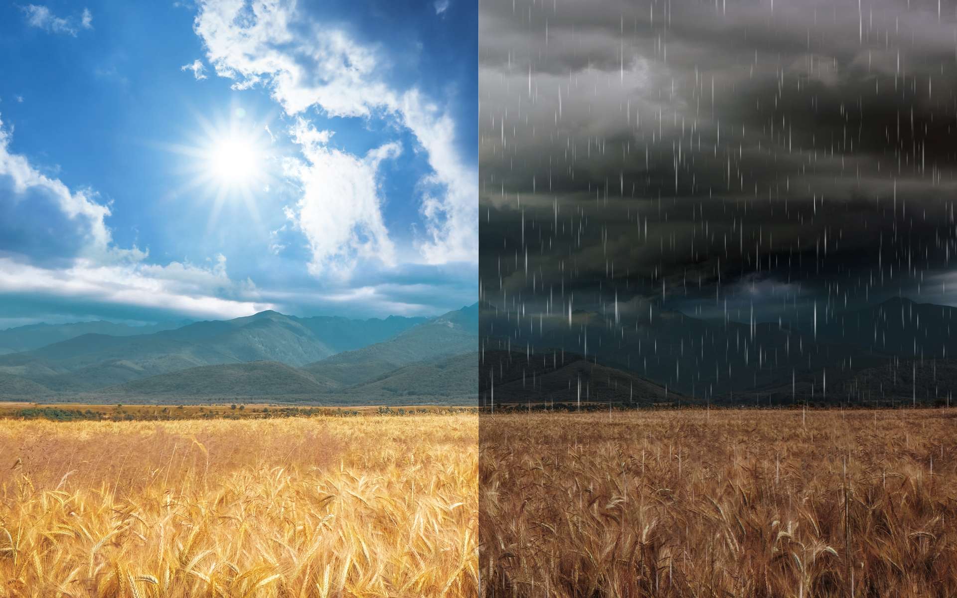 La météo de la Saint-Médard 2025 (8 juin) sera-t-elle celle de tout l'été à venir ?