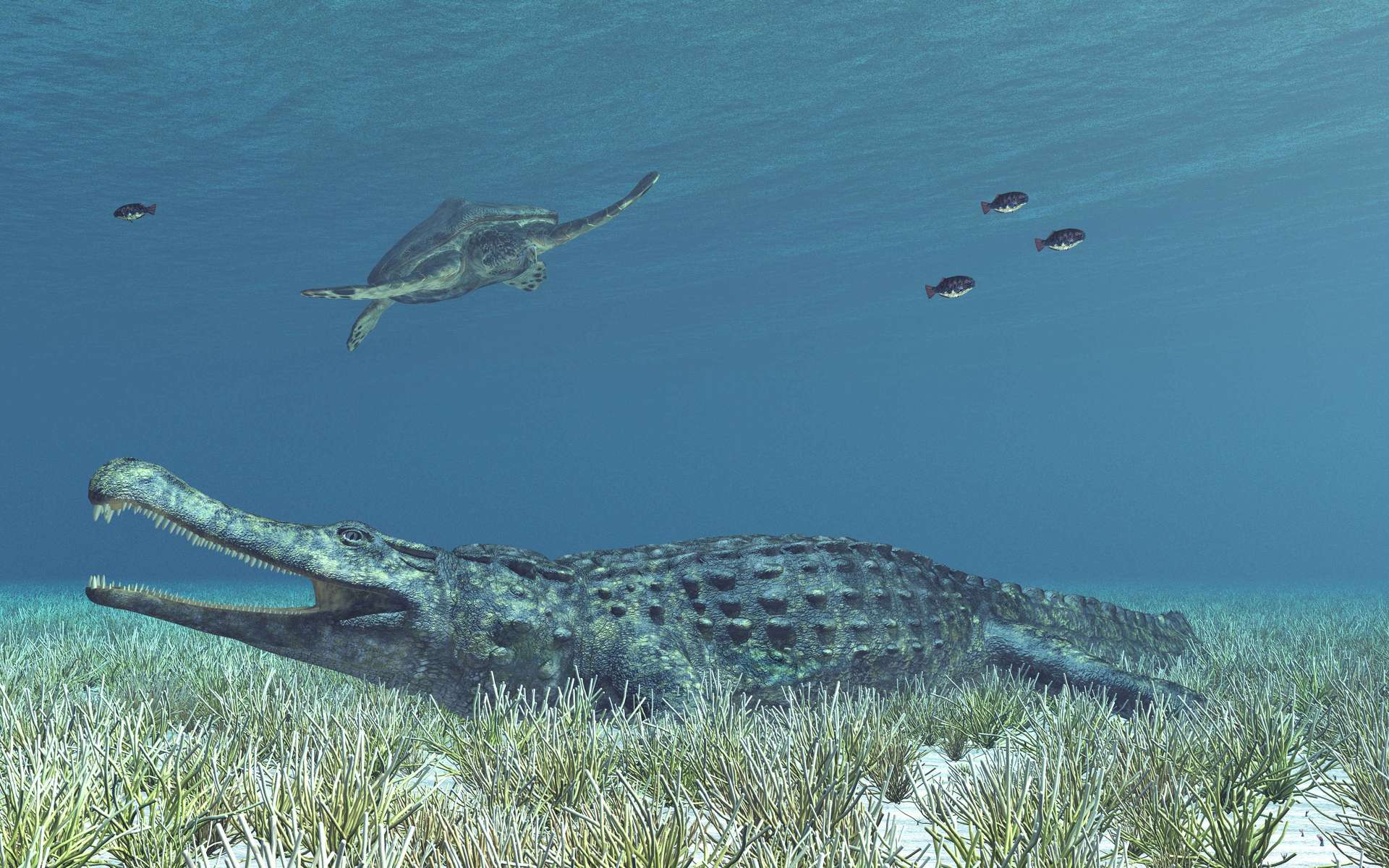 Sarcosuchus est un genre de crocodyliformes géants du Crétacé. © Michael Rosskothen, Adobe Stock