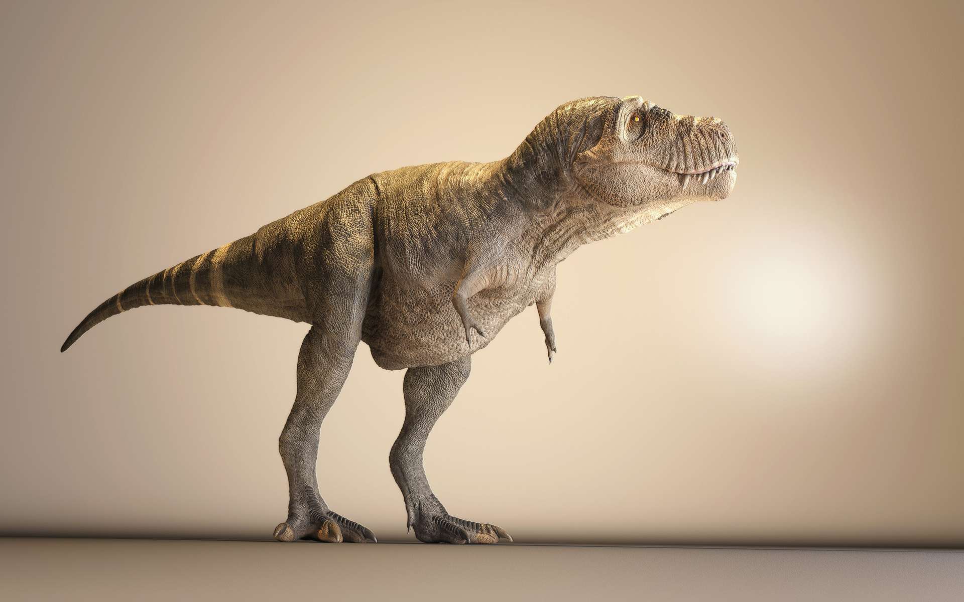 On sait (presque) combien de tyrannosaures ont foulé la Terre