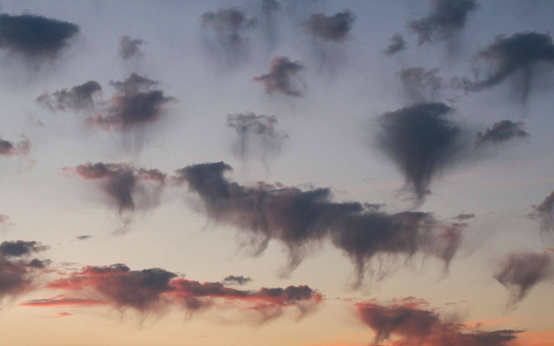 Phénomène météo extraordinaire : les nuages méduses