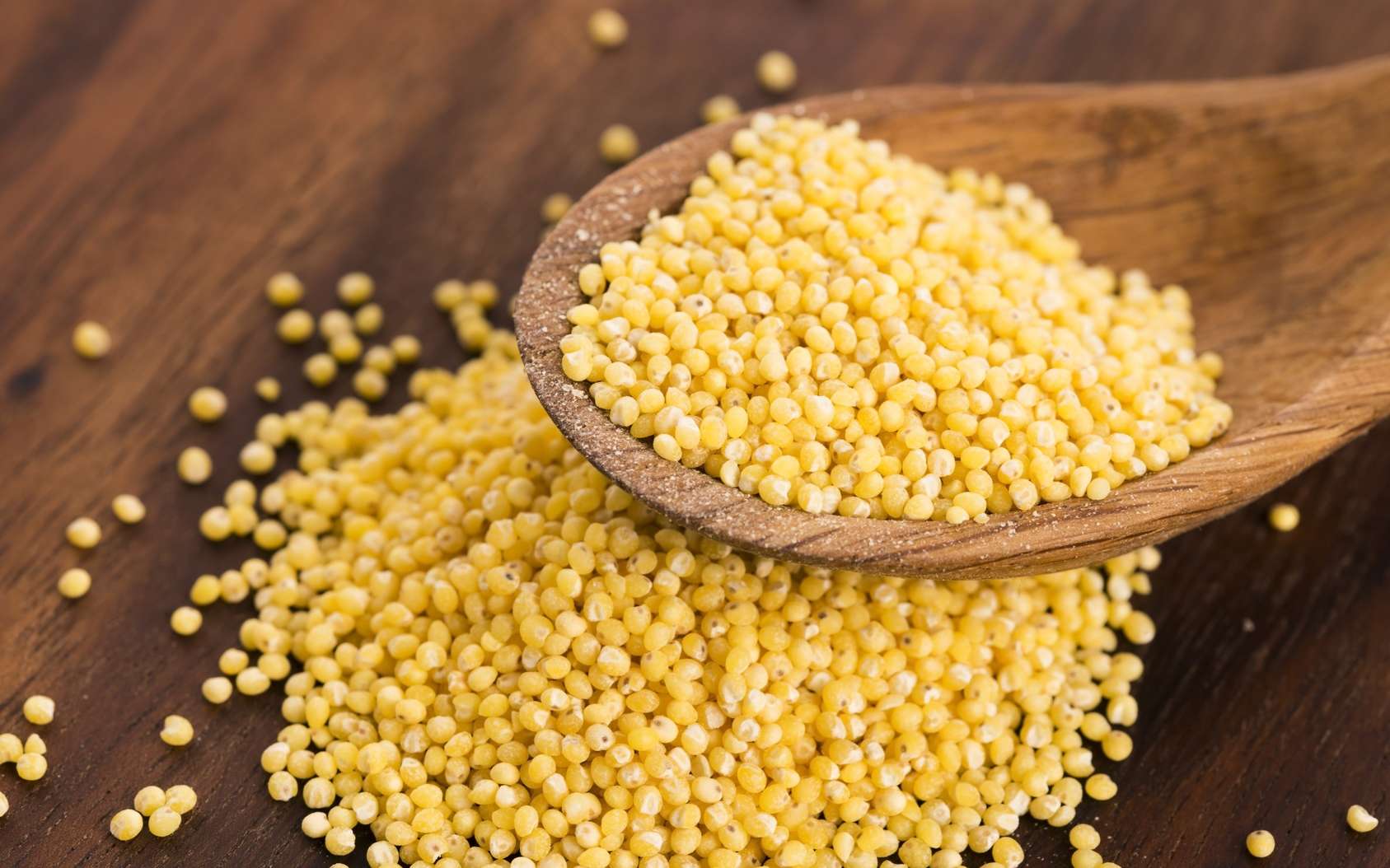 Les petites graines jaunes du millet ont pour avantage d’être sans gluten. © joanna wnuk, Fotolia
