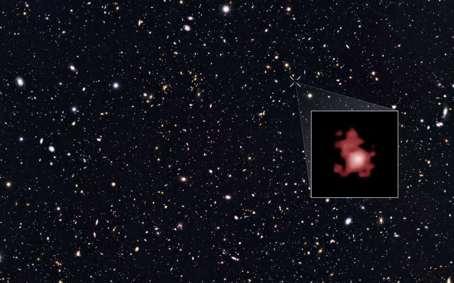 Les galaxies se bousculent dans cette partie du ciel boréal qui ne représente qu’une petite parcelle de la constellation de la Grande Ourse (voir vidéo ci-dessous). L’image est extraite du vaste sondage Goods North (Great Observatories Origins Deep Survey North) réalisé avec le télescope spatial Hubble. L’encadré dévoile GN-z11, une jeune galaxie distante de 13,4 milliards d’années-lumière qui a le ventre plein d’étoiles ardentes et brille beaucoup pour son âge. © Nasa, Esa, P. Oesch (Yale University)