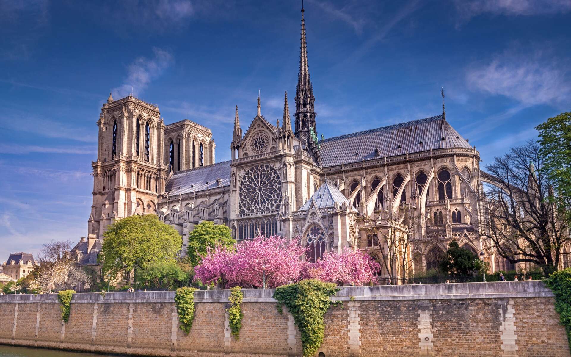 Le chantier de Notre-Dame de Paris a dévoilé des secrets de la cathédrale aux scientifiques