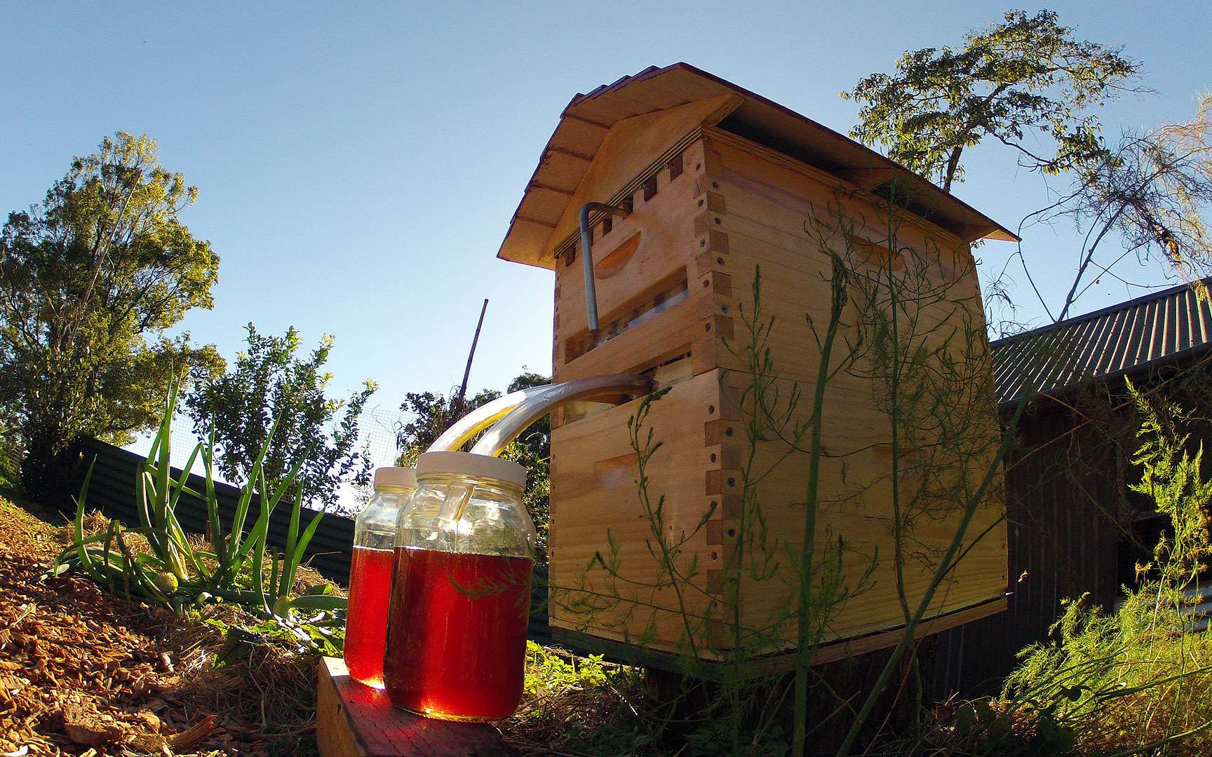 Le Flow Hive, ou comment récolter du miel sans déranger la ruche