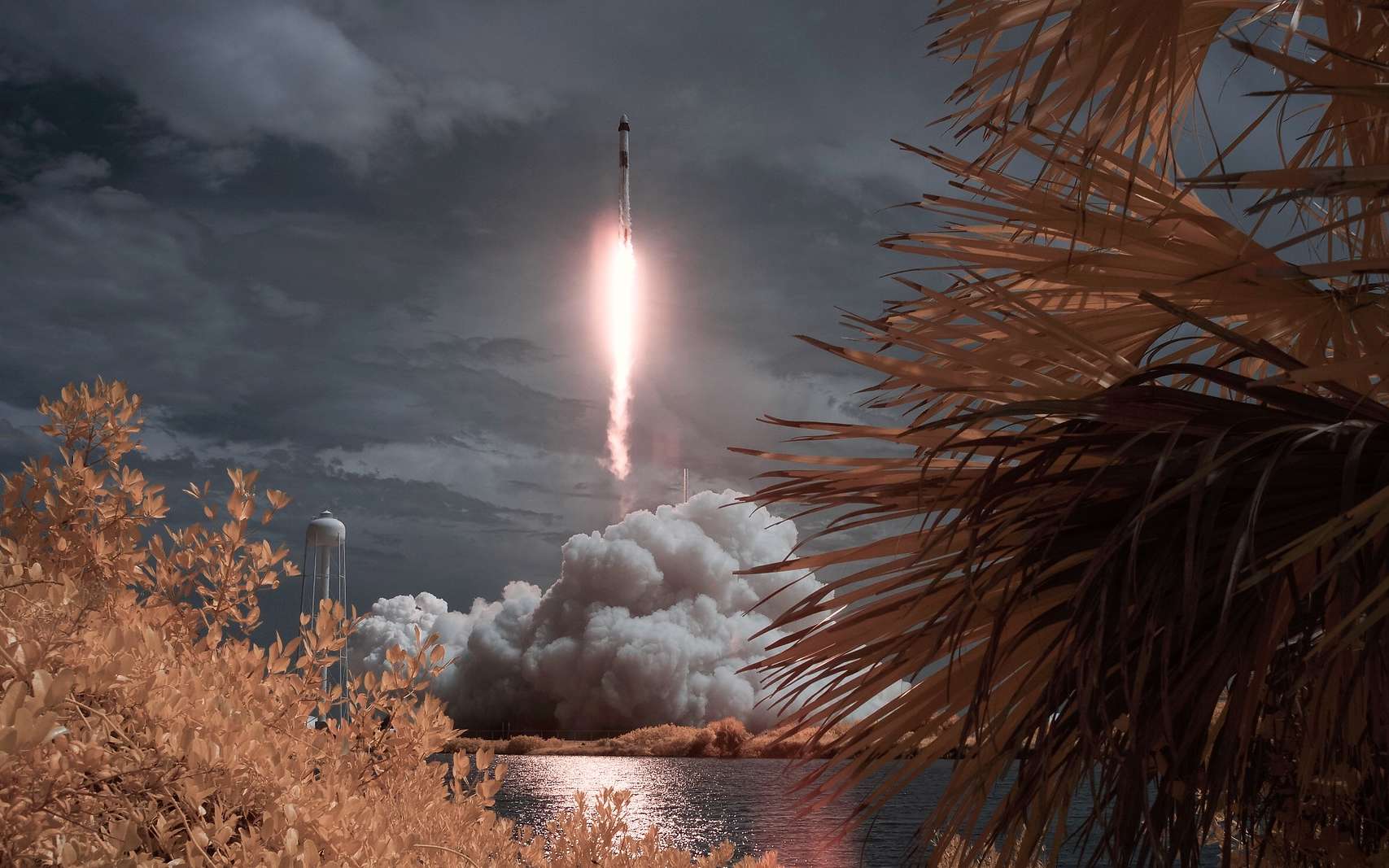 SpaceX : les plus grands moments en 2020