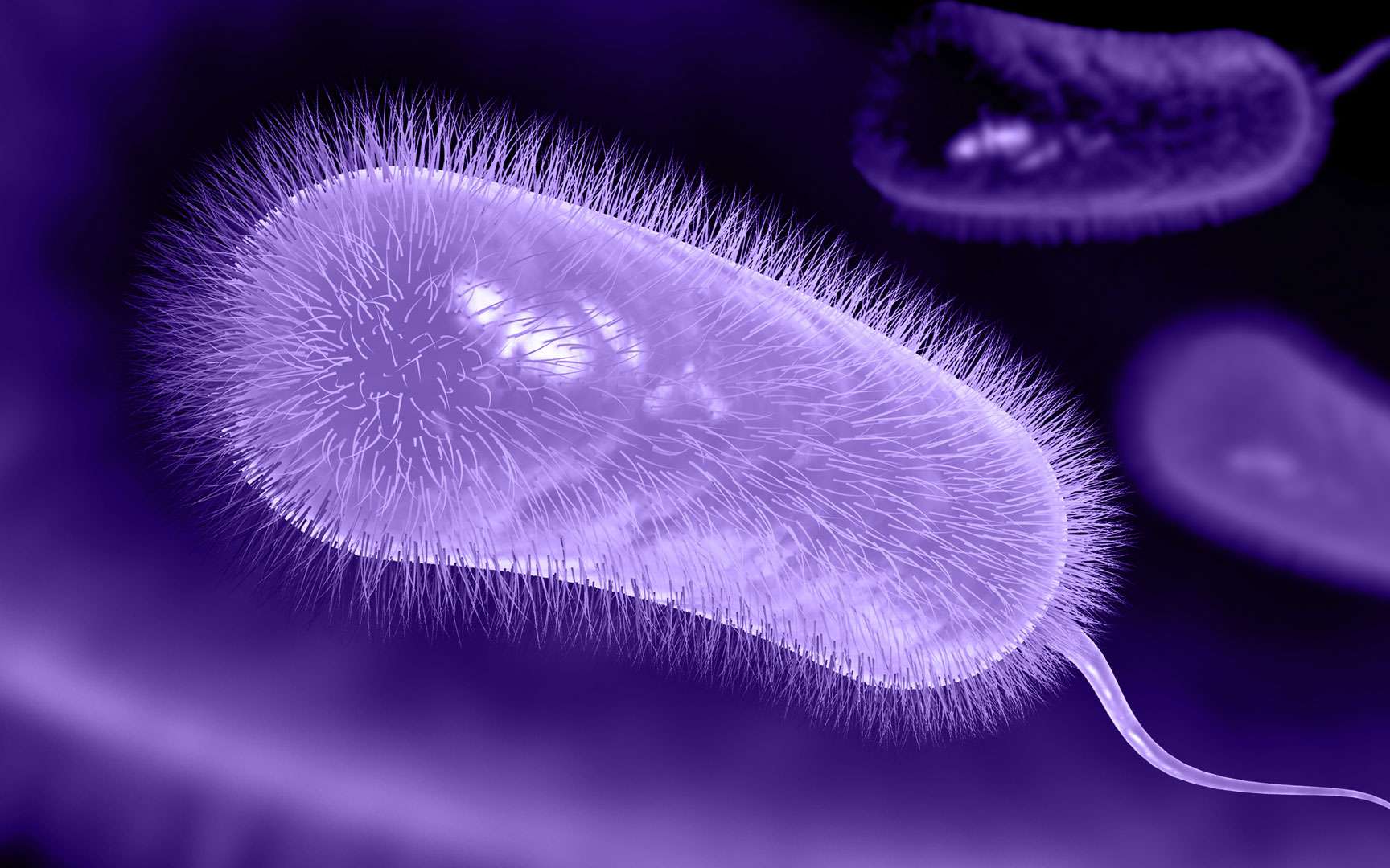 bacterie hp izoprinozină din papilomele