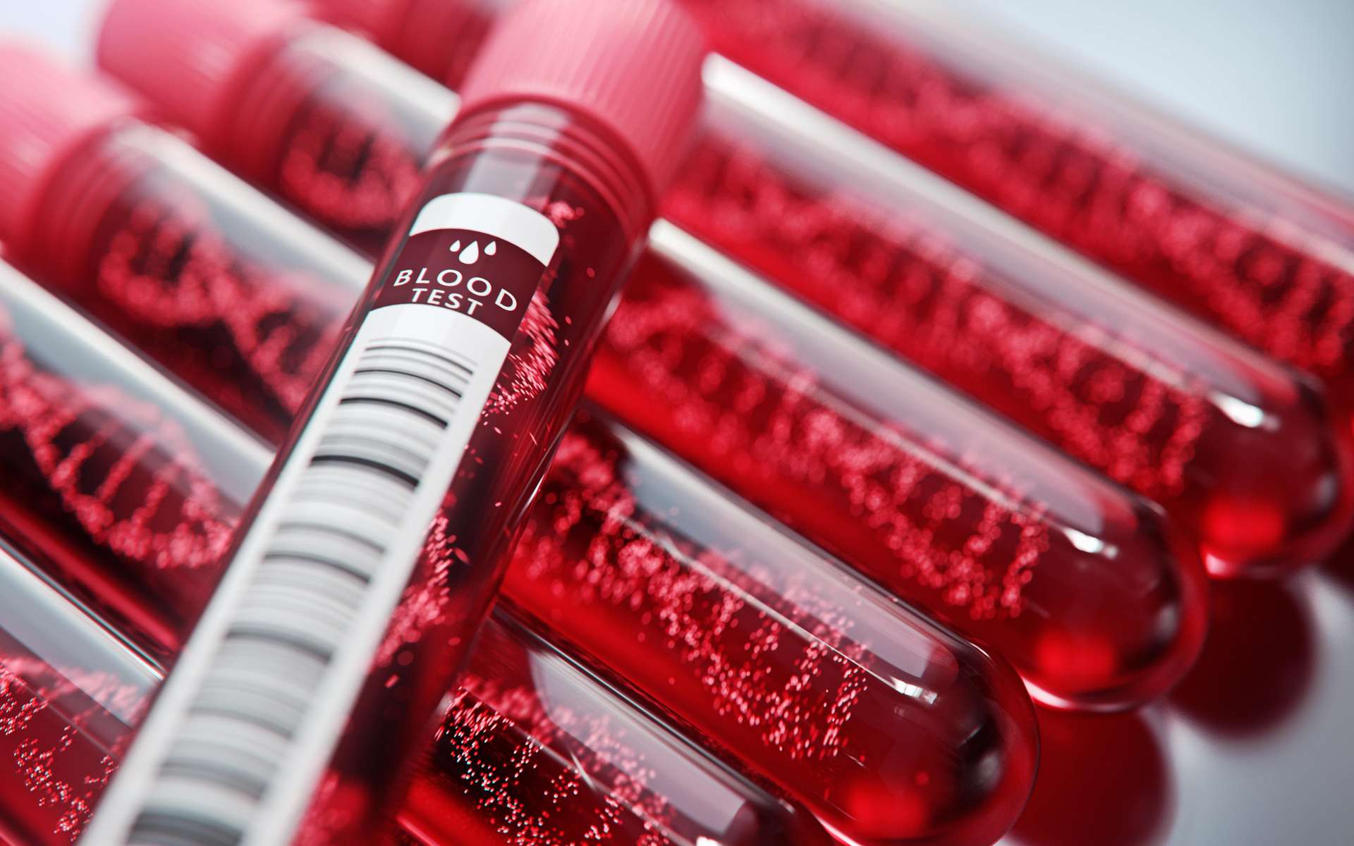 Le sang rouge proviendrait d'un seul gène ancestral. © Connect world, Adobe Stock