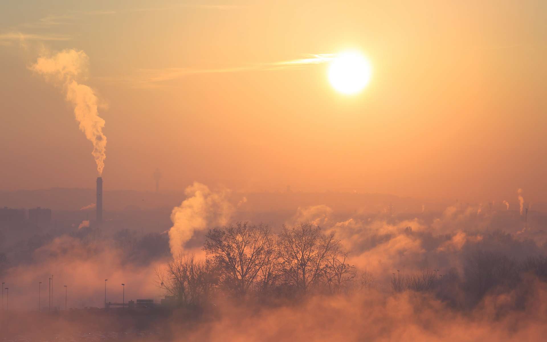 Une étude pointe les principaux responsables de la pollution de l'air meurtrière en Europe