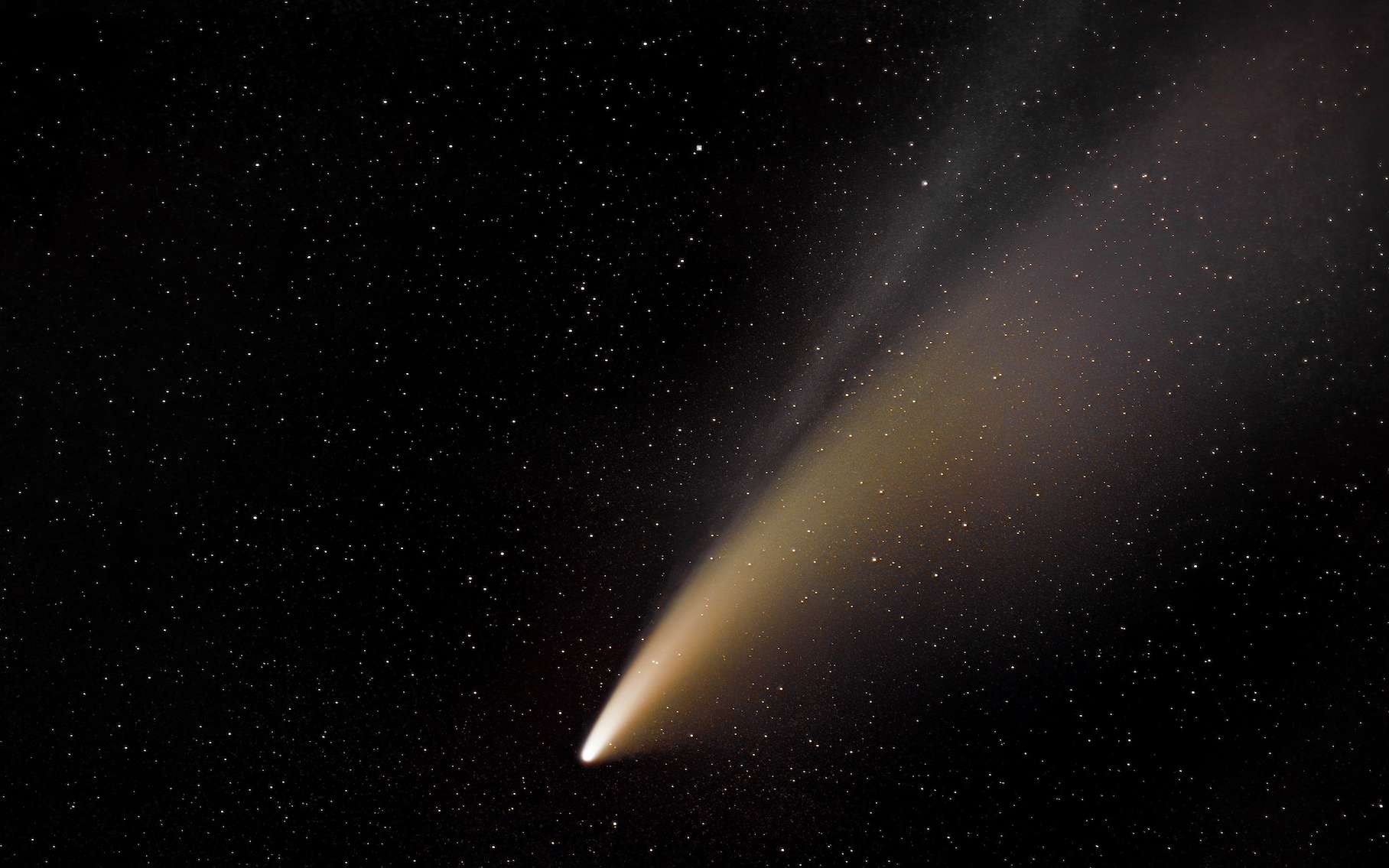 Dernières chances pour observer la comète Nishimura avant qu'elle ne disparaisse !