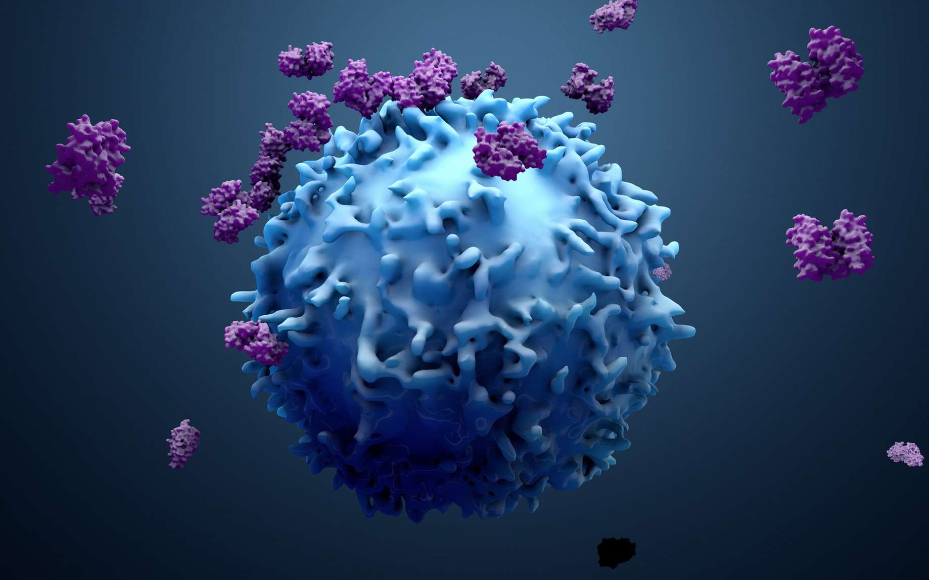 Le lumican empêche les cytokines de s’échapper vers d’autres tissus sains. © Design Cells, Fotolia