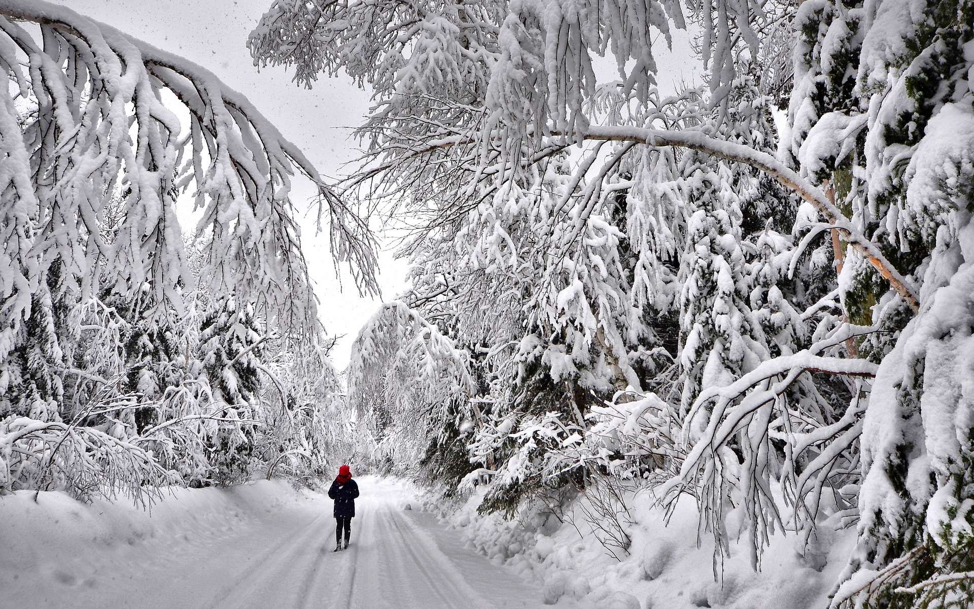 Un froid extrême au Canada. © Alain Audet, Pixabay