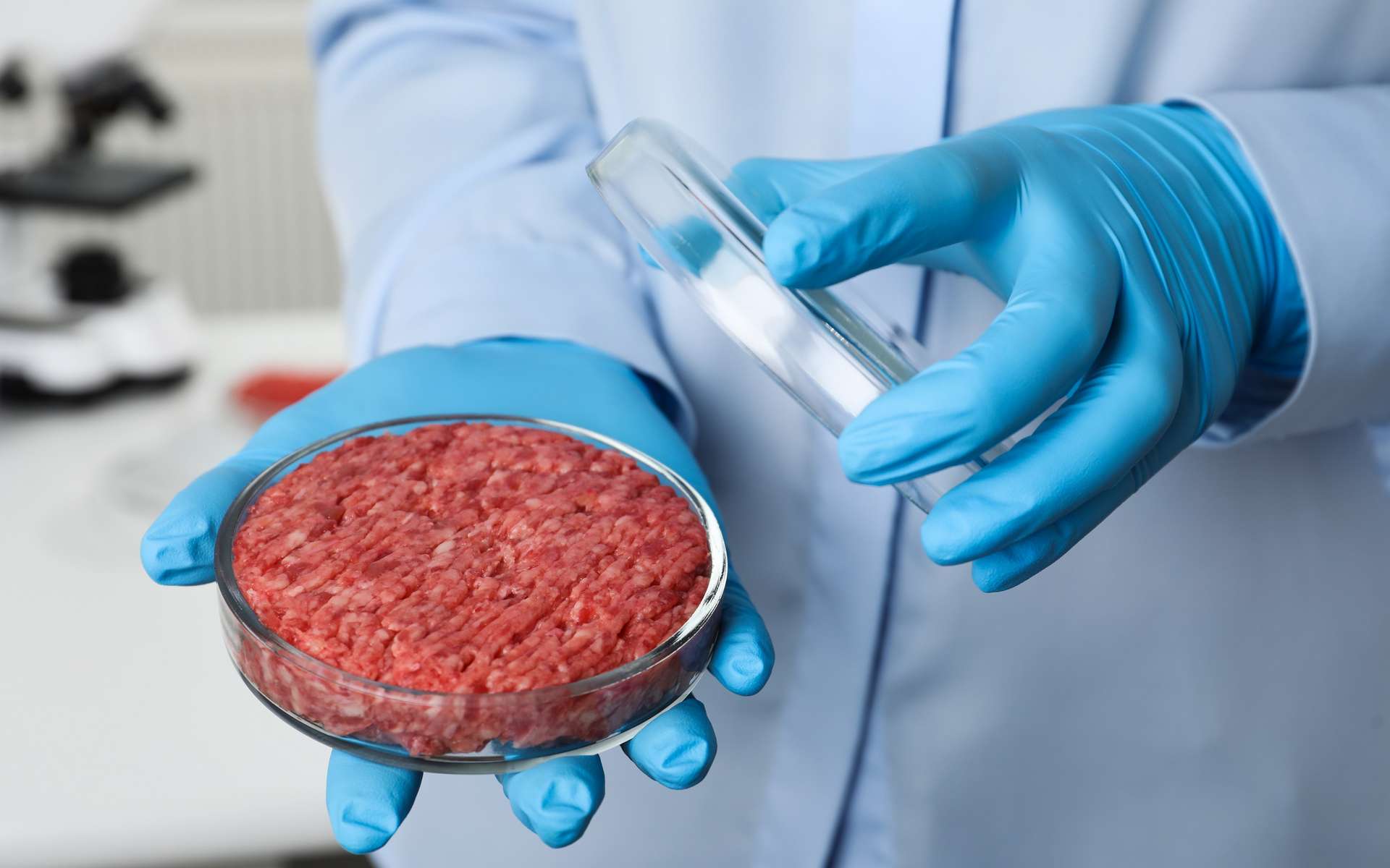 Les données scientifiques disponibles sont rares pour évaluer la qualité sanitaire et nutritionnelle de la viande in vitro. © New Africa, Shutterstock