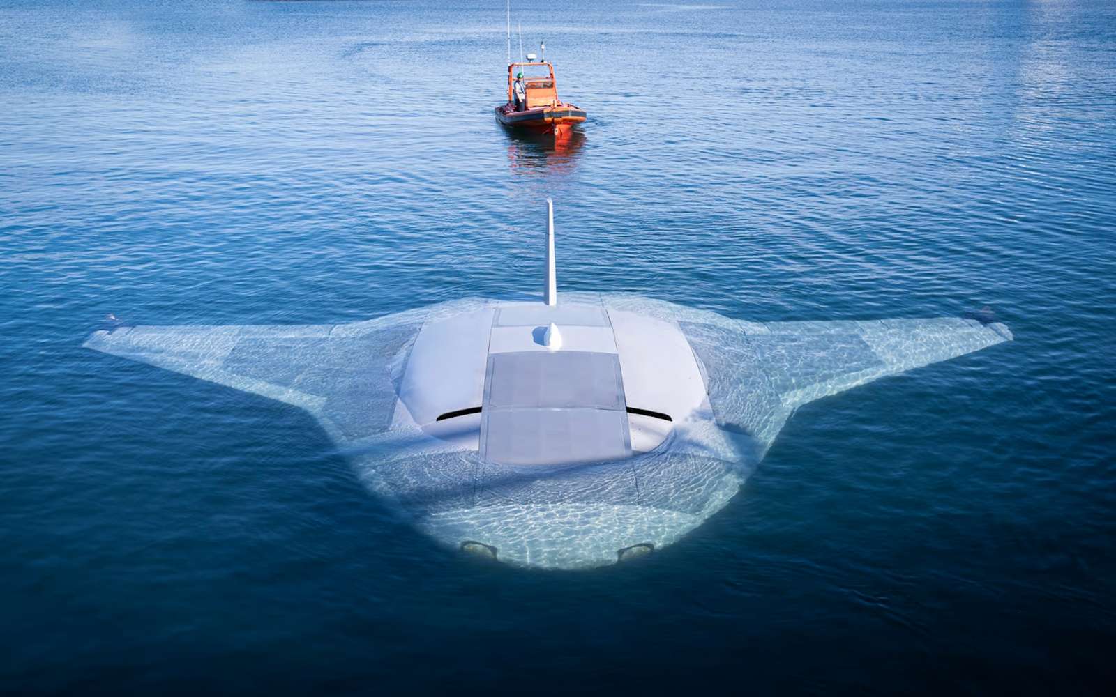 Premières images de Ray Manta, le drone sous-marin de combat de la Darpa