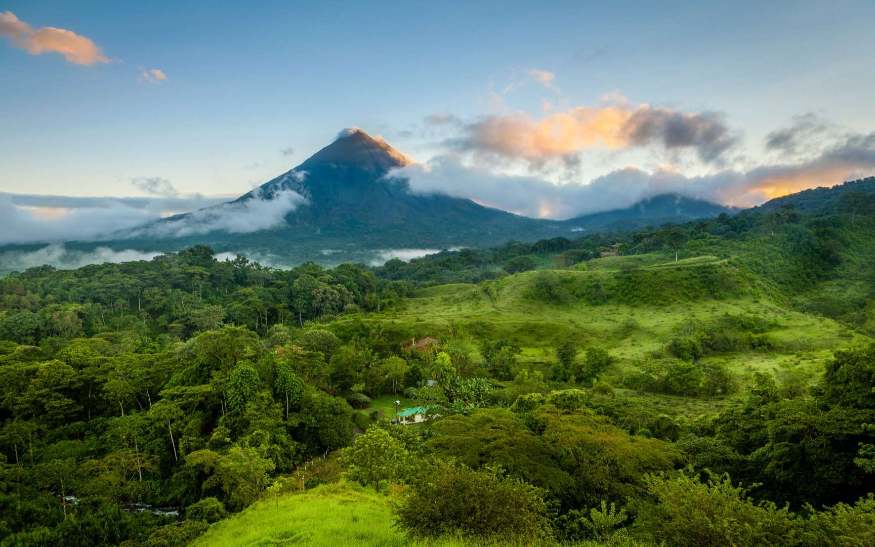 Marie Ange Ngo Bieng, écologue forestière, nous parle de la restauration des forêts tropicales