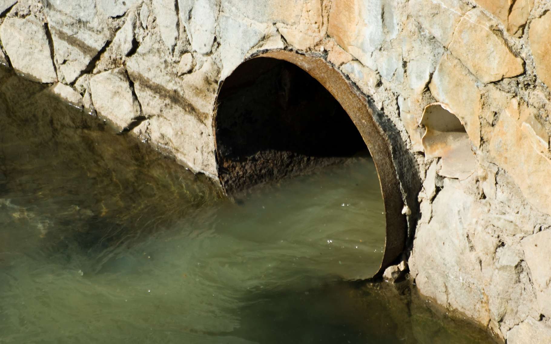 les rivieres de france sont elles polluees