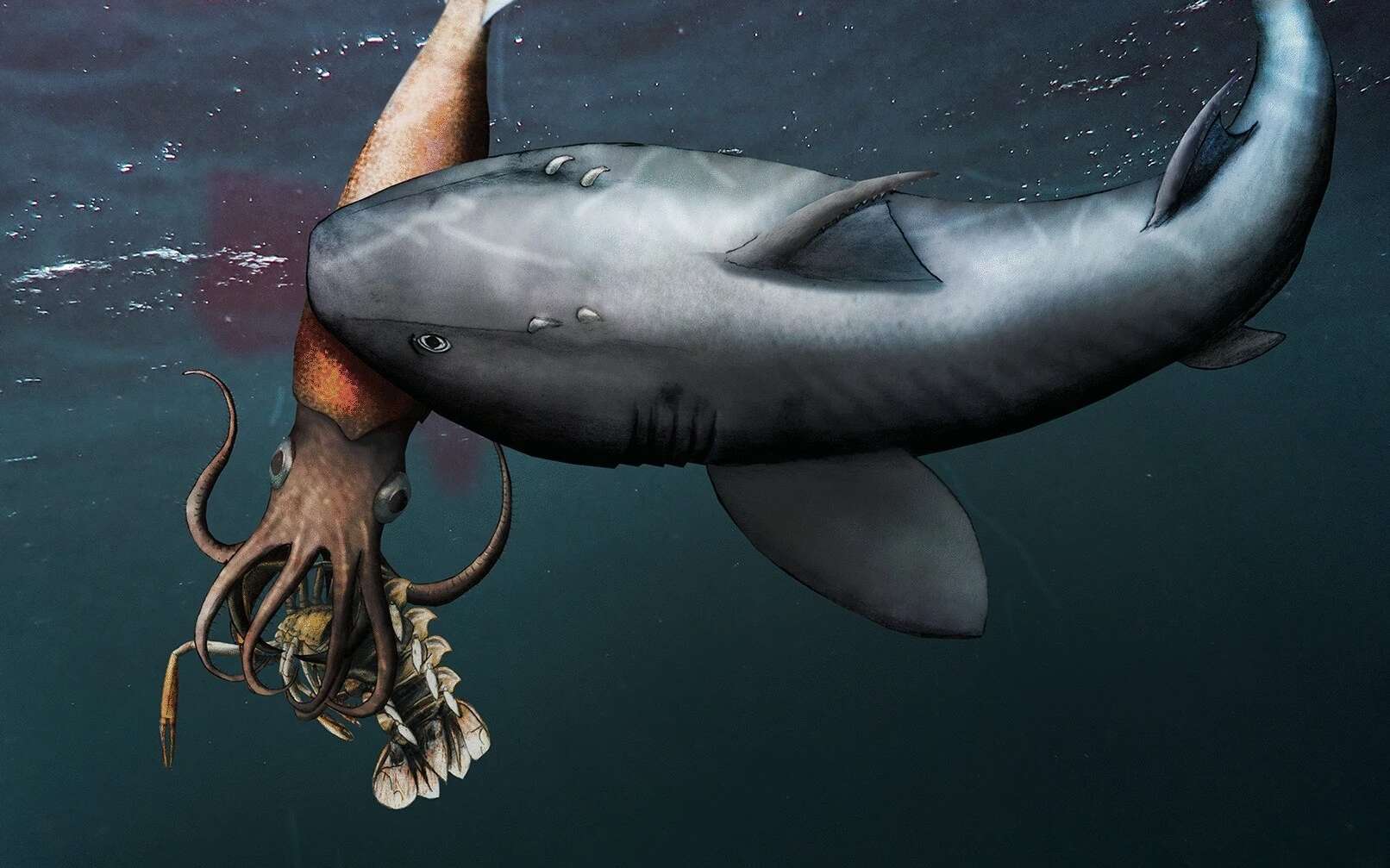 Photo of Un crustáceo devorado por un calamar devorado por un tiburón, ¡todo fosilizado!