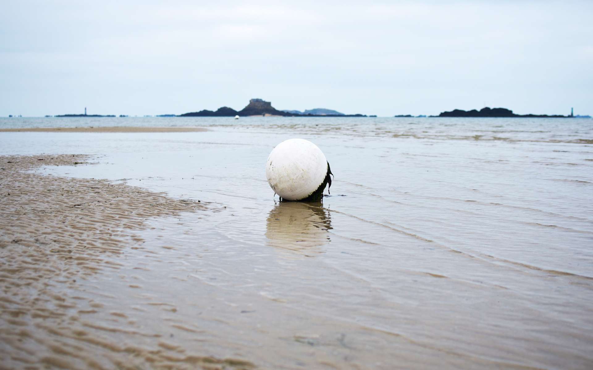 Cette mystérieuse sphère échouée sur une plage au Japon enflamme Internet