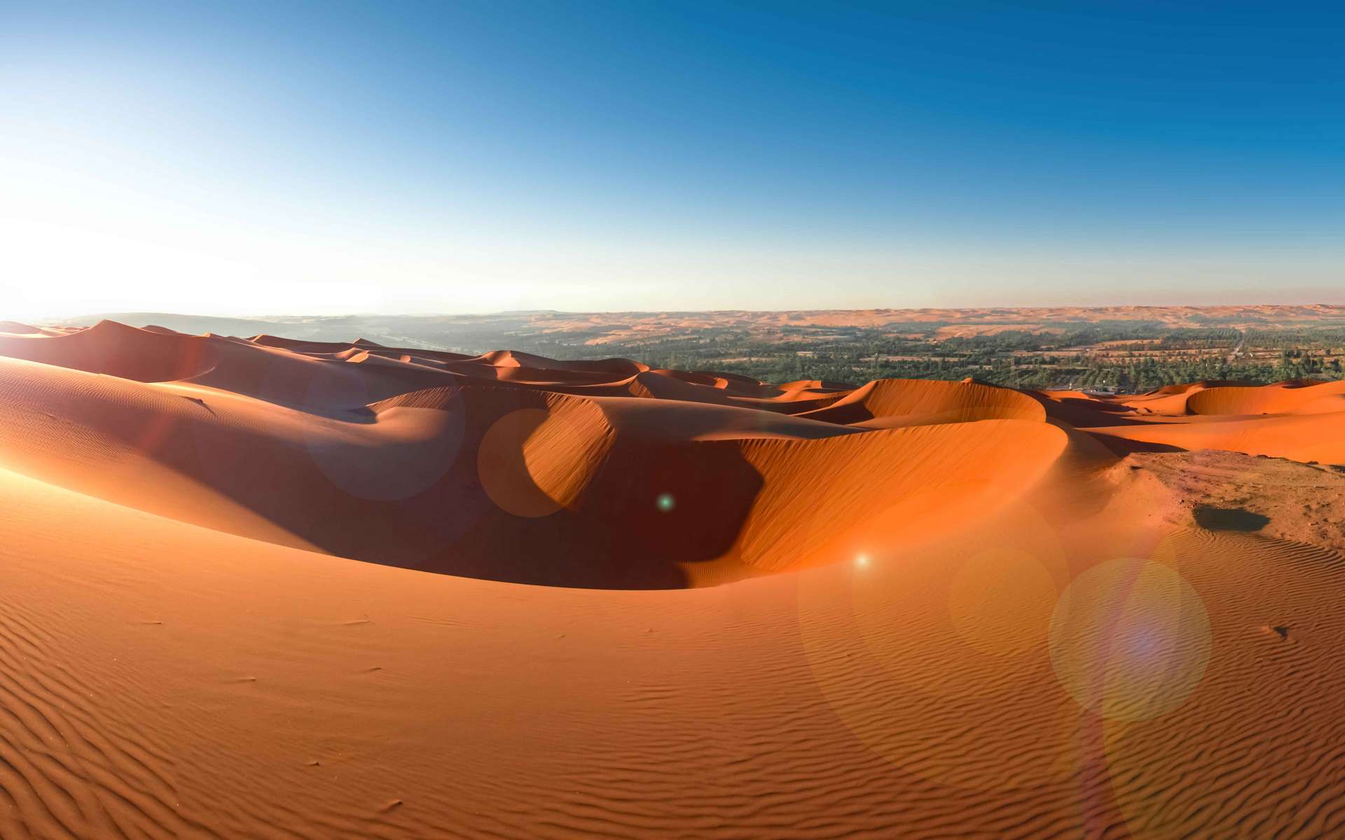 L'ADN raconte l'évolution humaine au Moyen-Orient