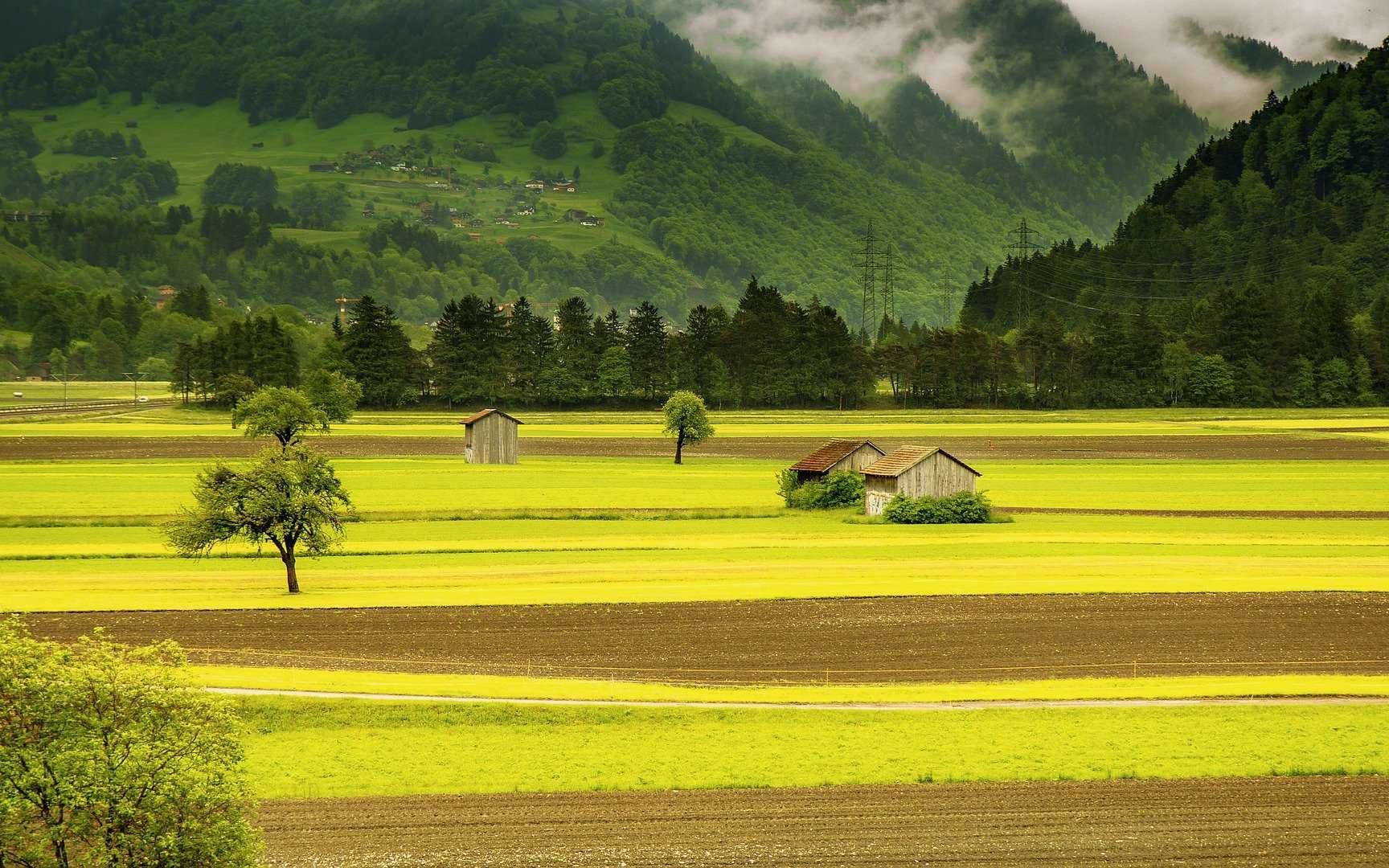 Quelle surface agricole est nécessaire pour nourrir un Français ?
