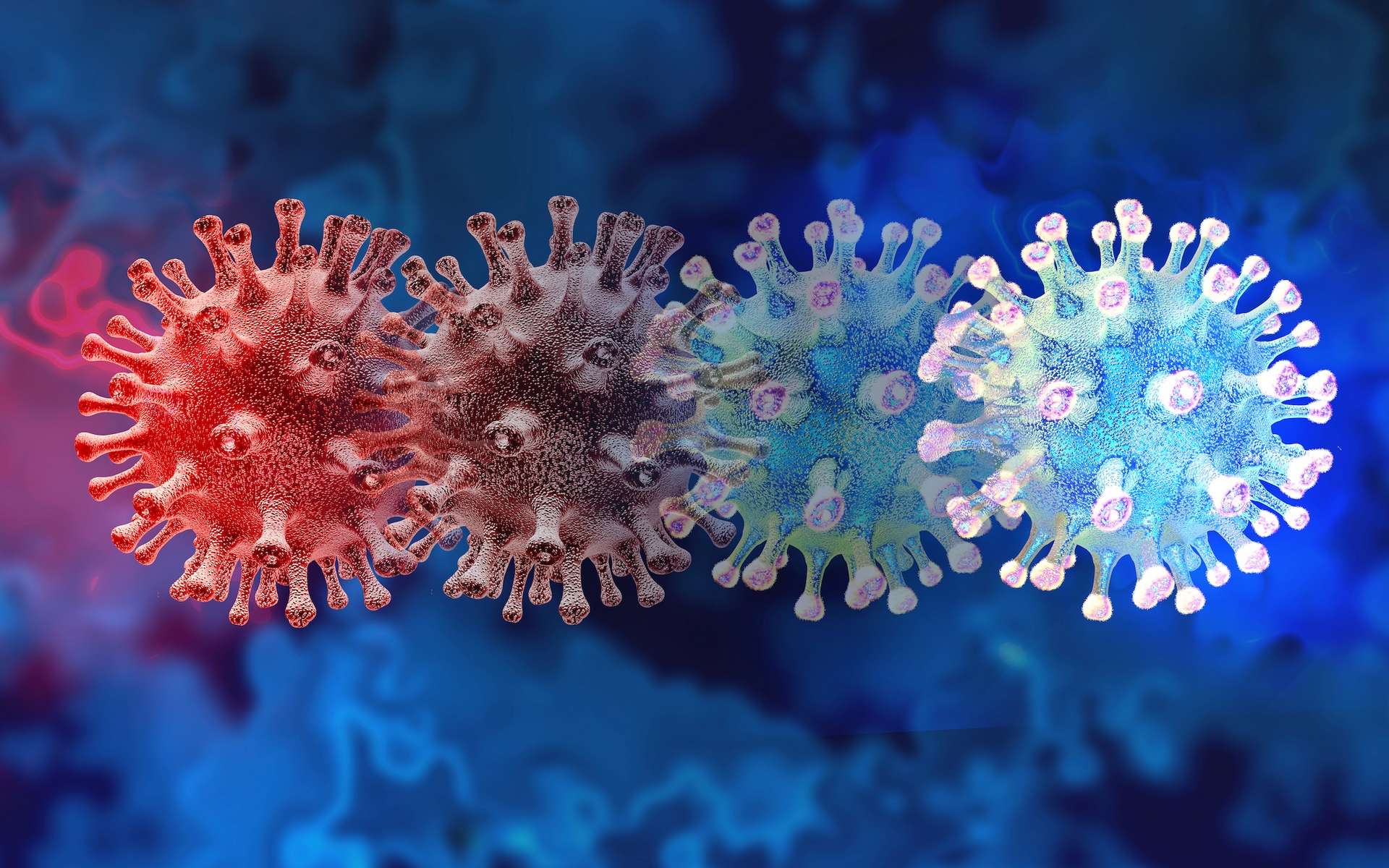 C.1.2 et Mu sont deux nouveaux variants du coronavirus sous surveillance. © freshidea, Adobe Stock