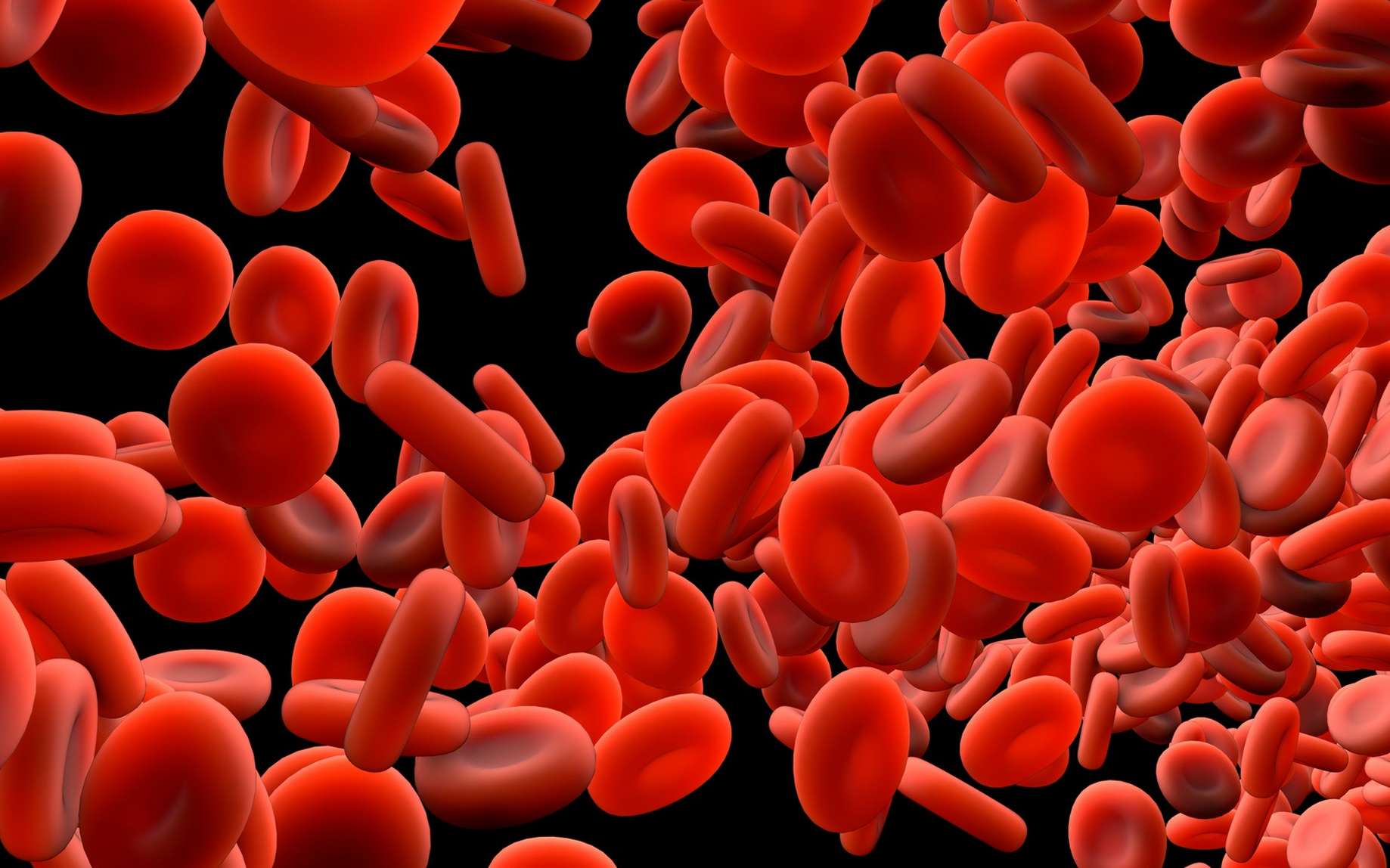 La coagulation du sang permet de limiter les hémorragies. © Design Cells, Fotolia