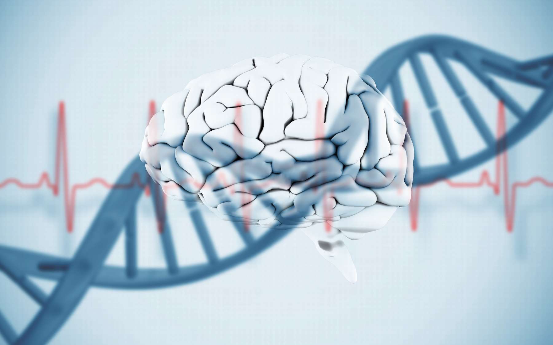 Des gènes zombies se réveillent dans le cerveau après la mort