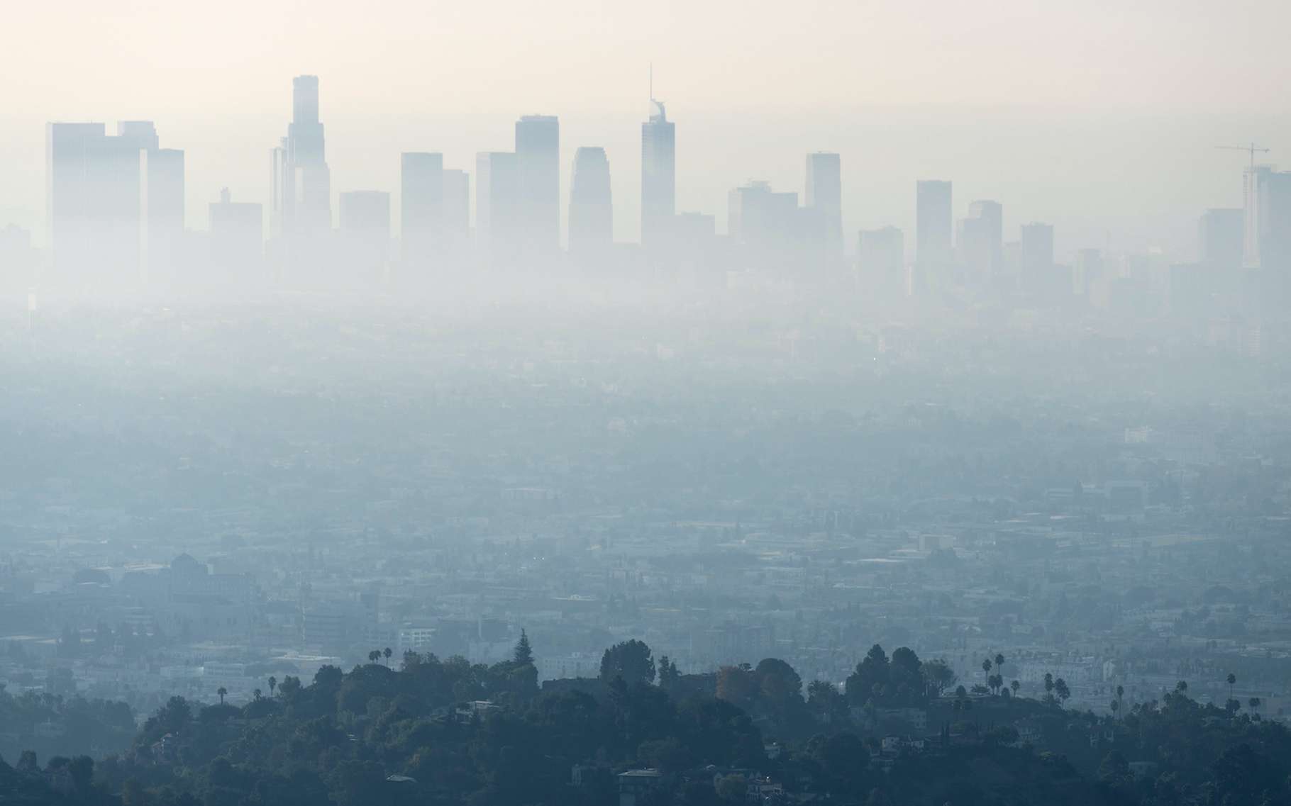 La pollution de l'air est le plus grand risque pour la santé humaine