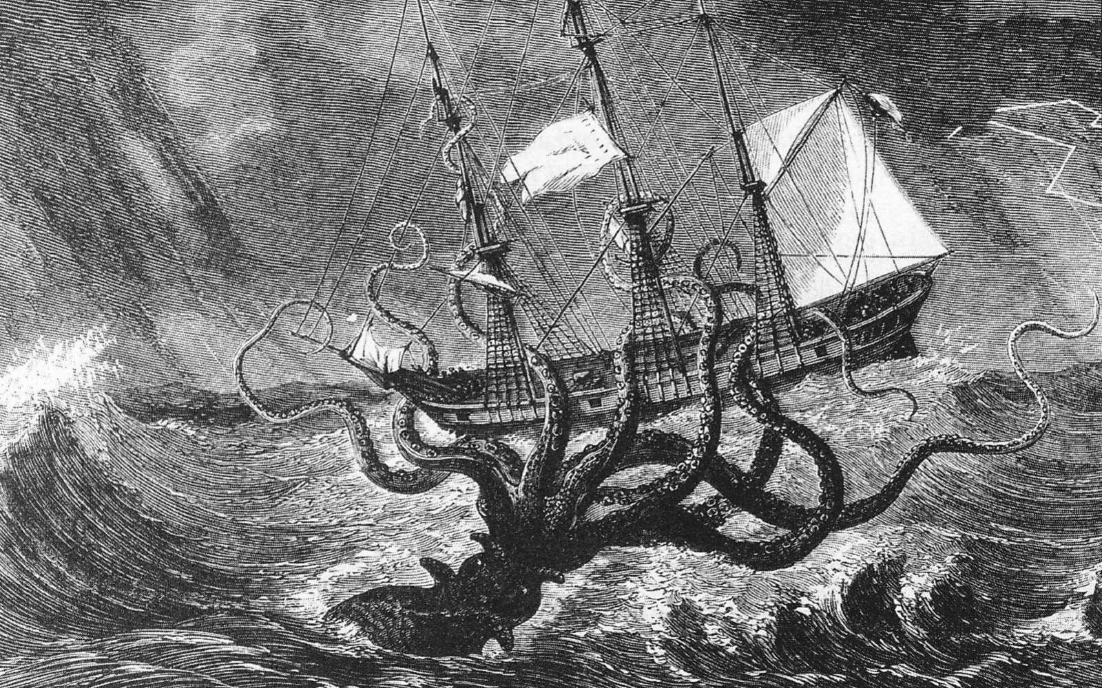 En vidéo : Kraken, le monstre derrière la légende